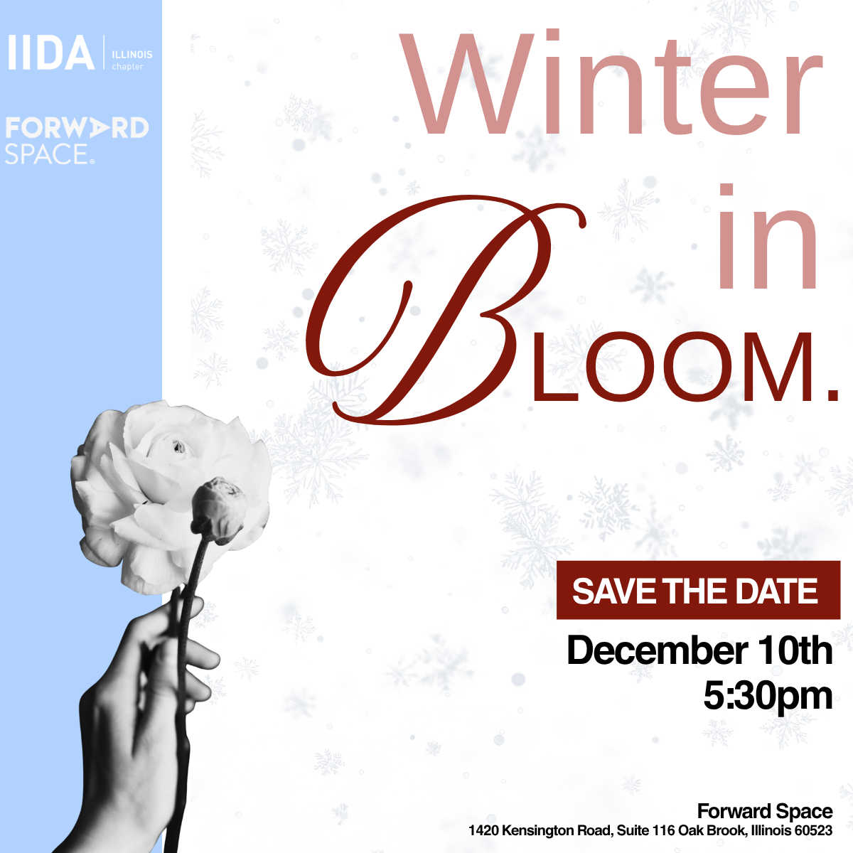 Winter in Bloom