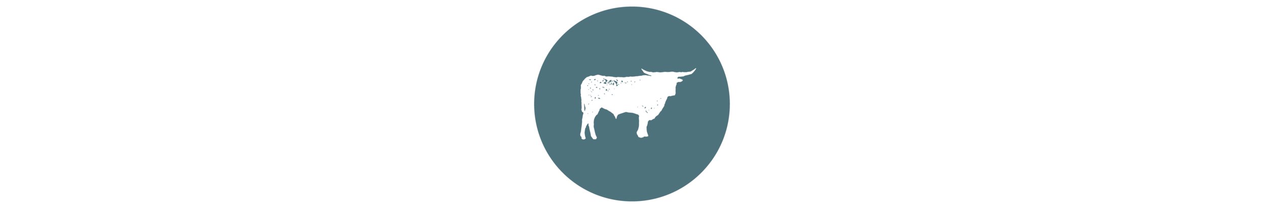 Cobbs Site Icons_Butchery Divider Mobile.png