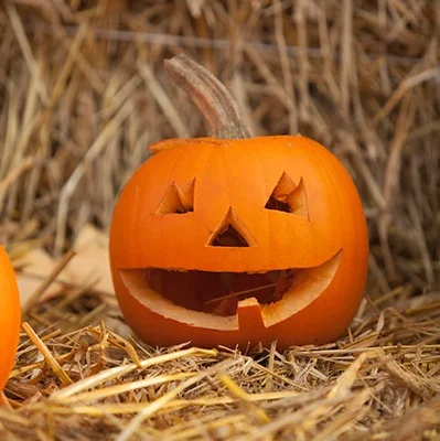 Visit one of our pumpkin carving events this October Half term!