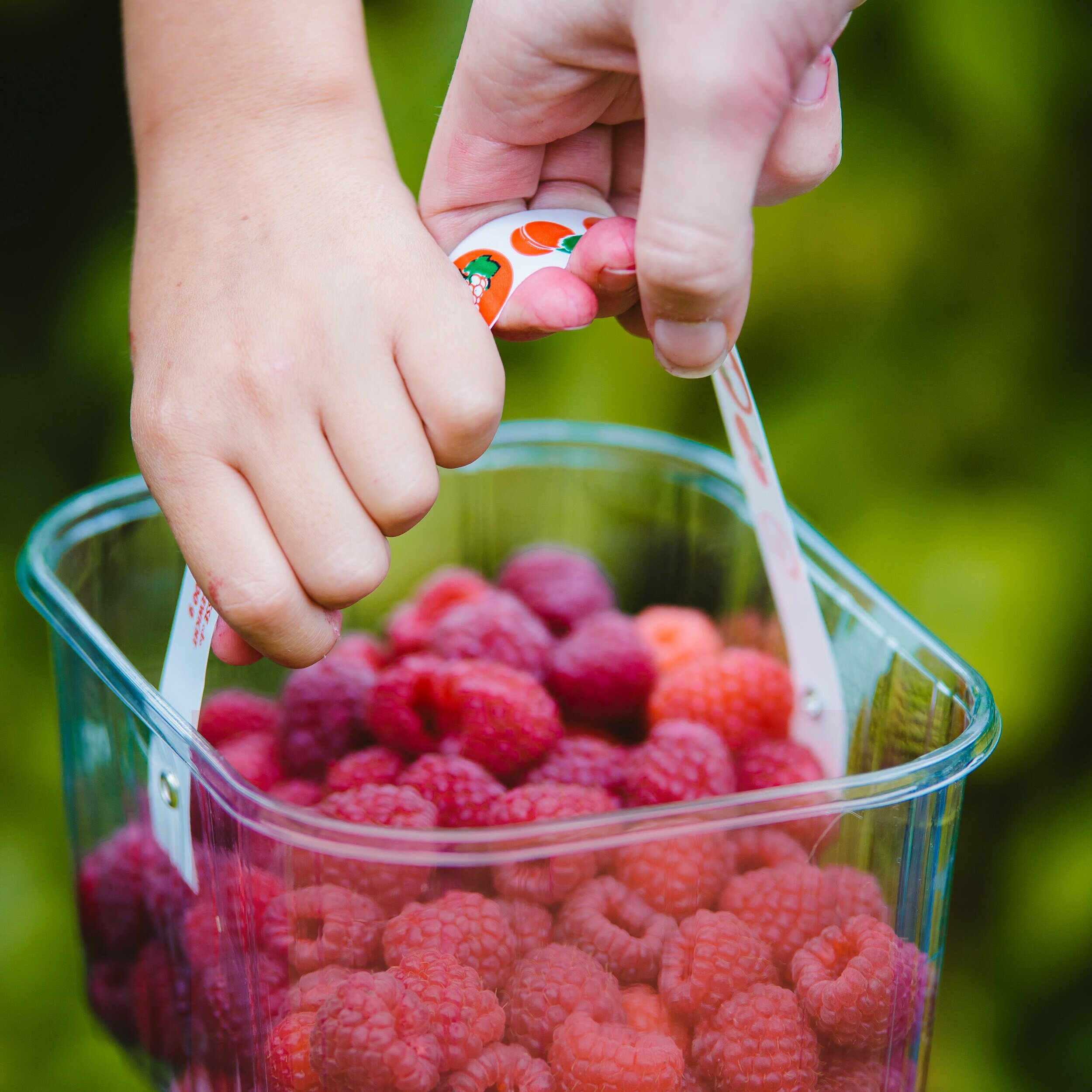 Cobbs Farm: Pick your own update