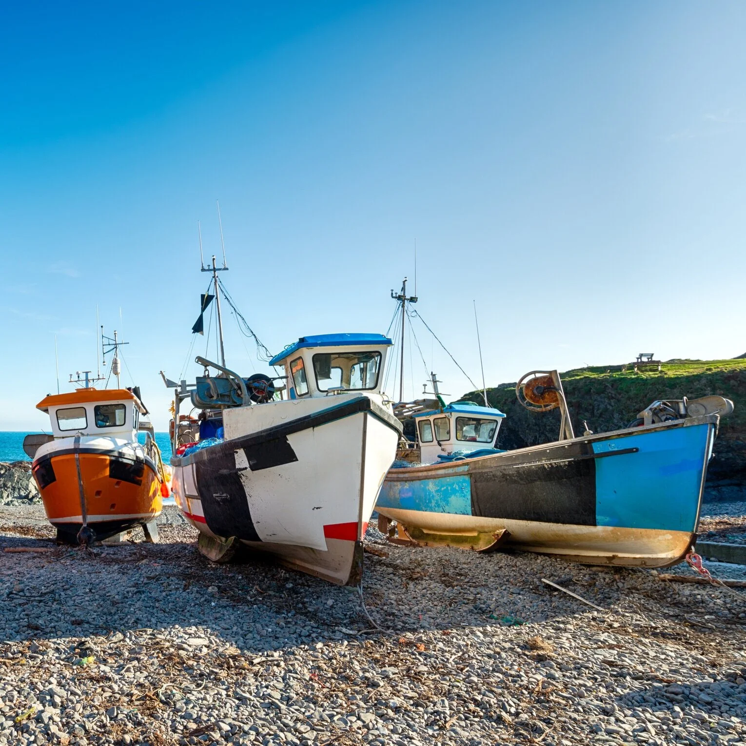 Just Landed: The Cornish Fishmonger
