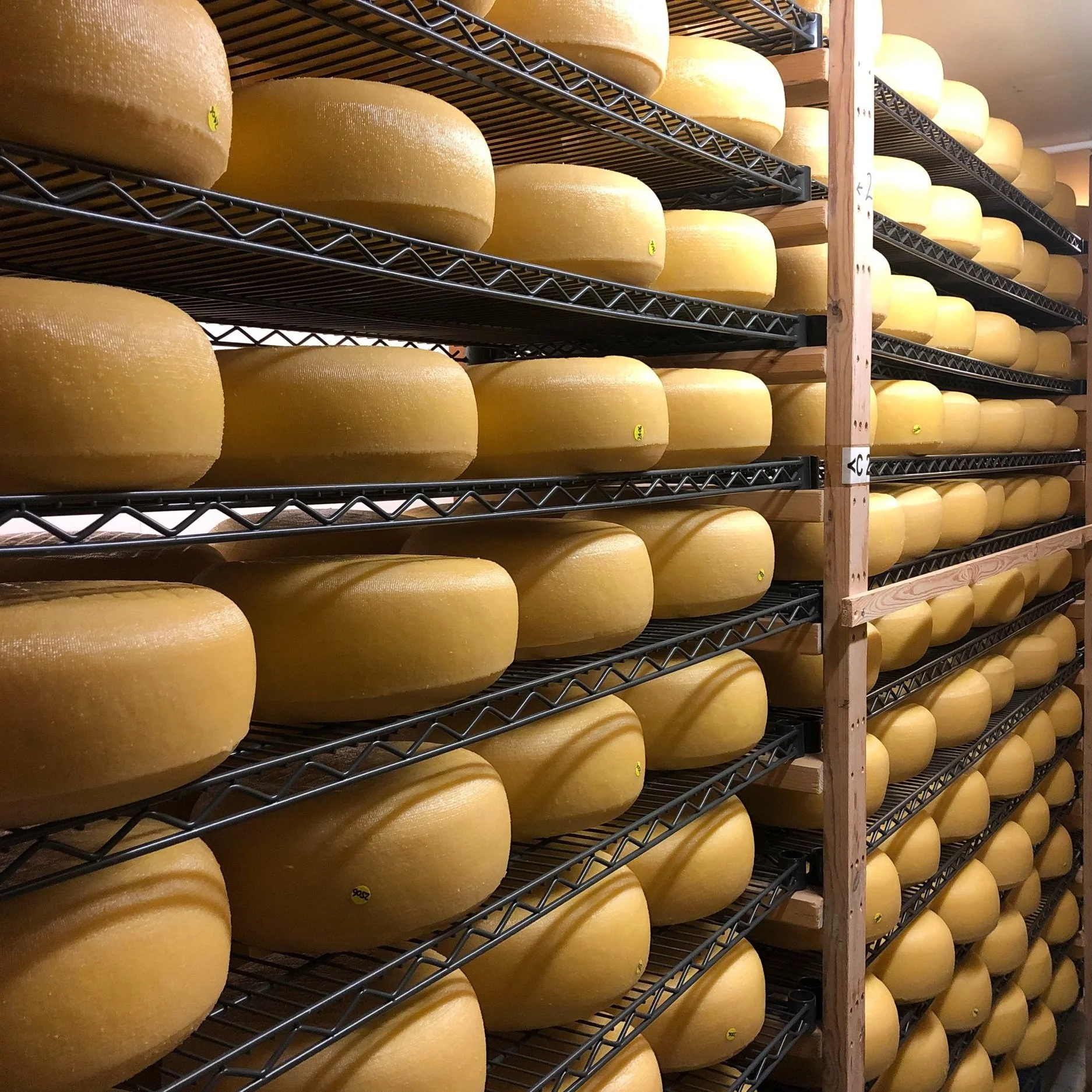 Supplier of the month: Lyburn Cheese