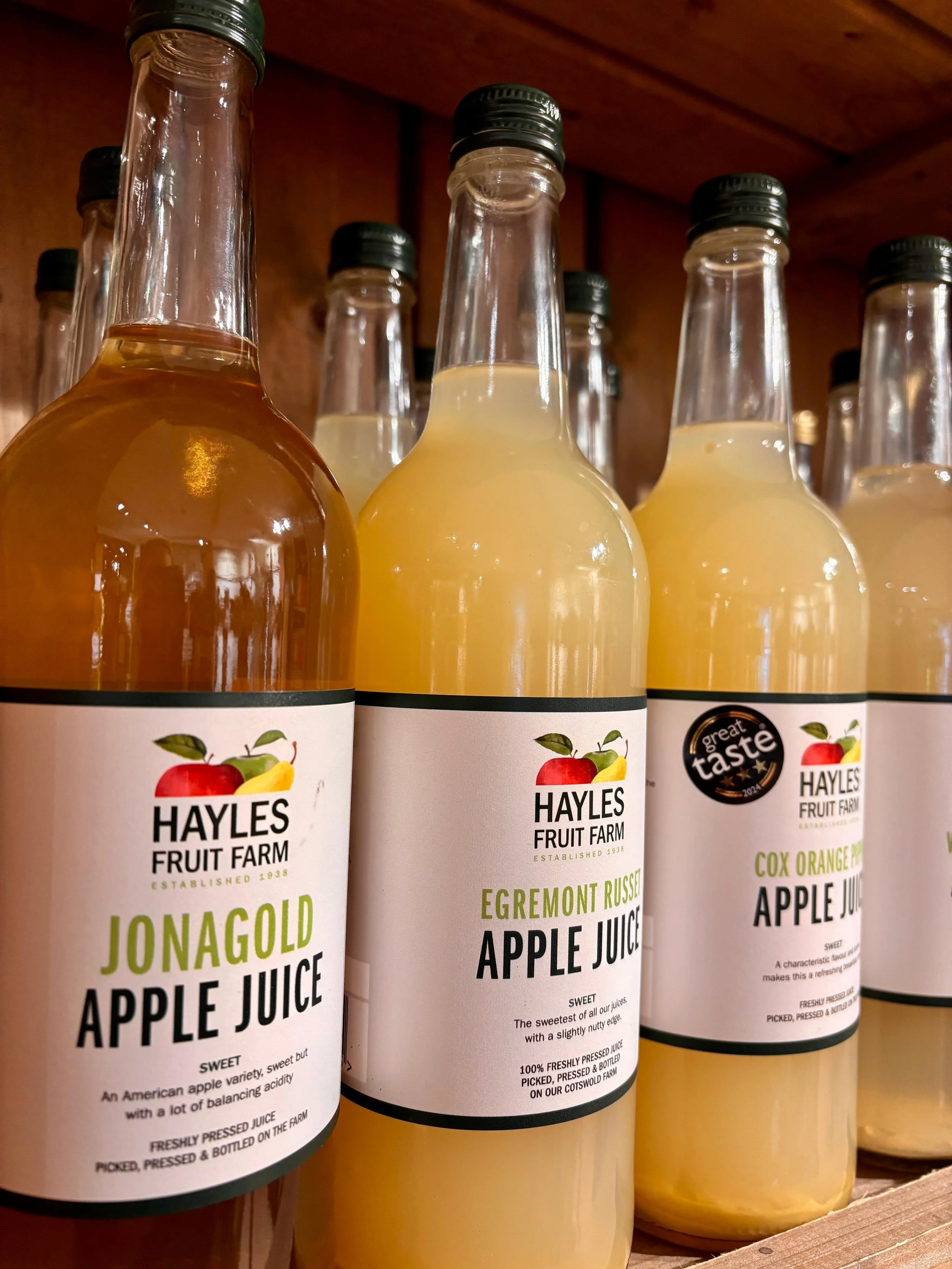 WhatsApp Image 2025-02-12 at 12.35.37_9dad782c.jpg