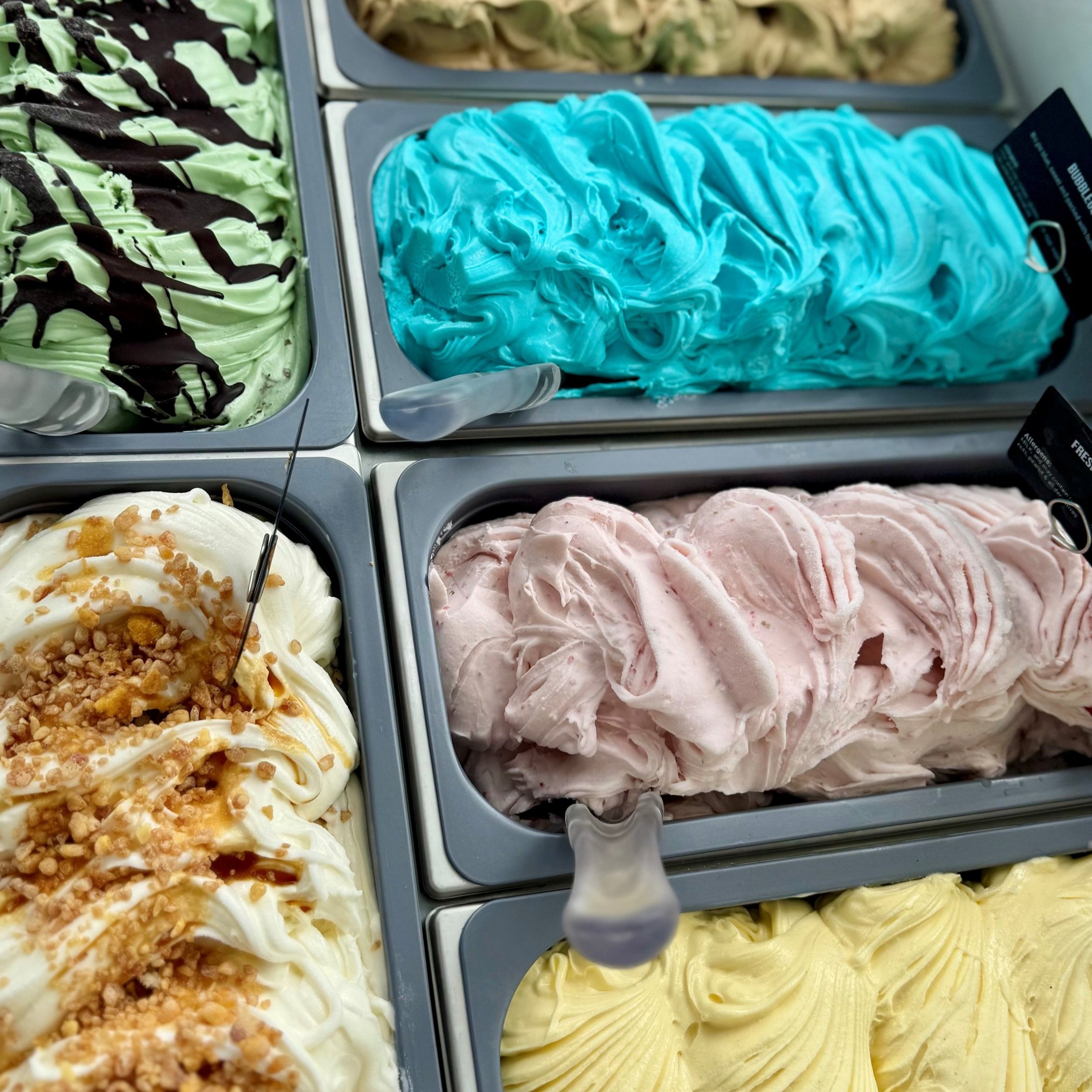 Gelato+Fridge+Display.jpg