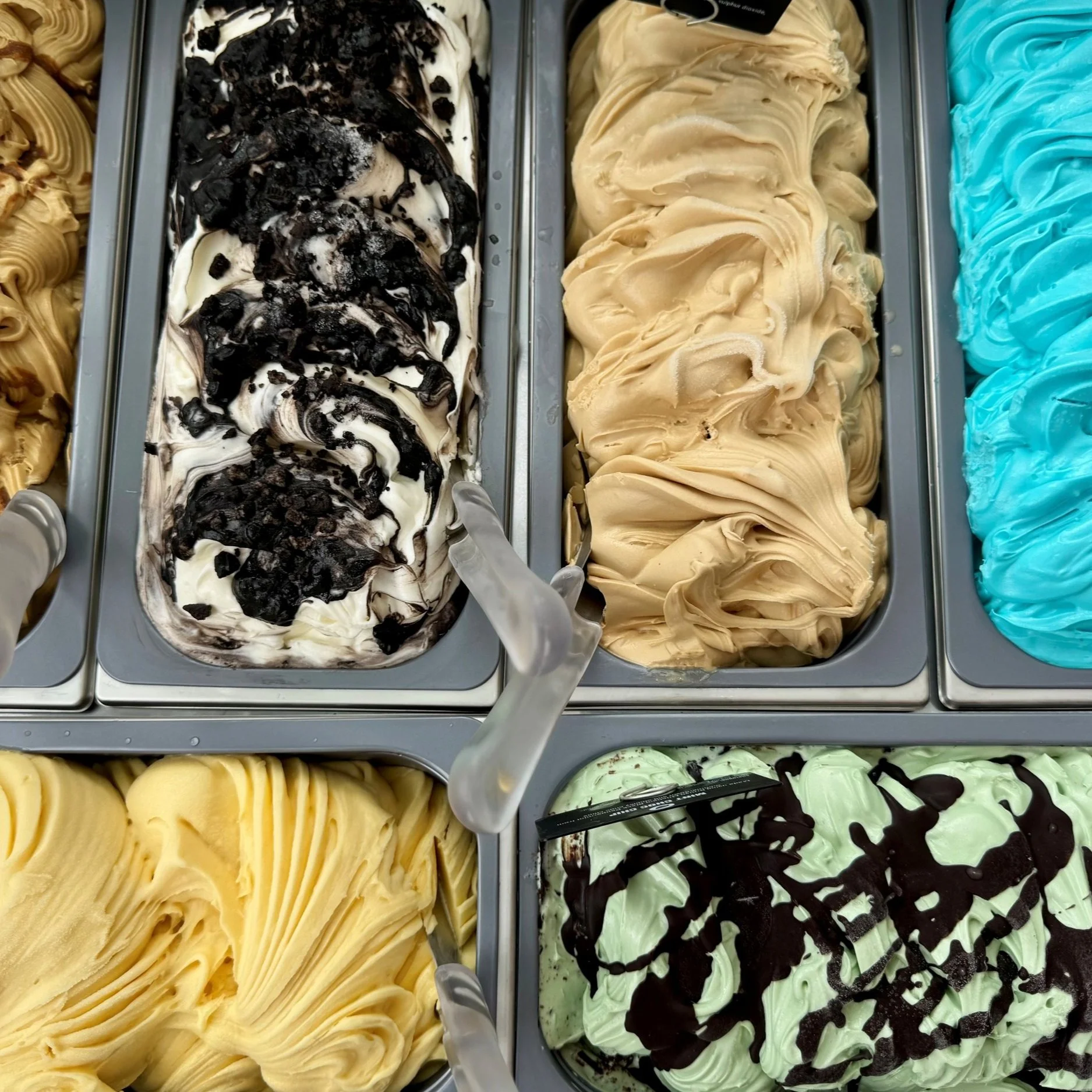 Gelato+Fridge+Display+2.jpg