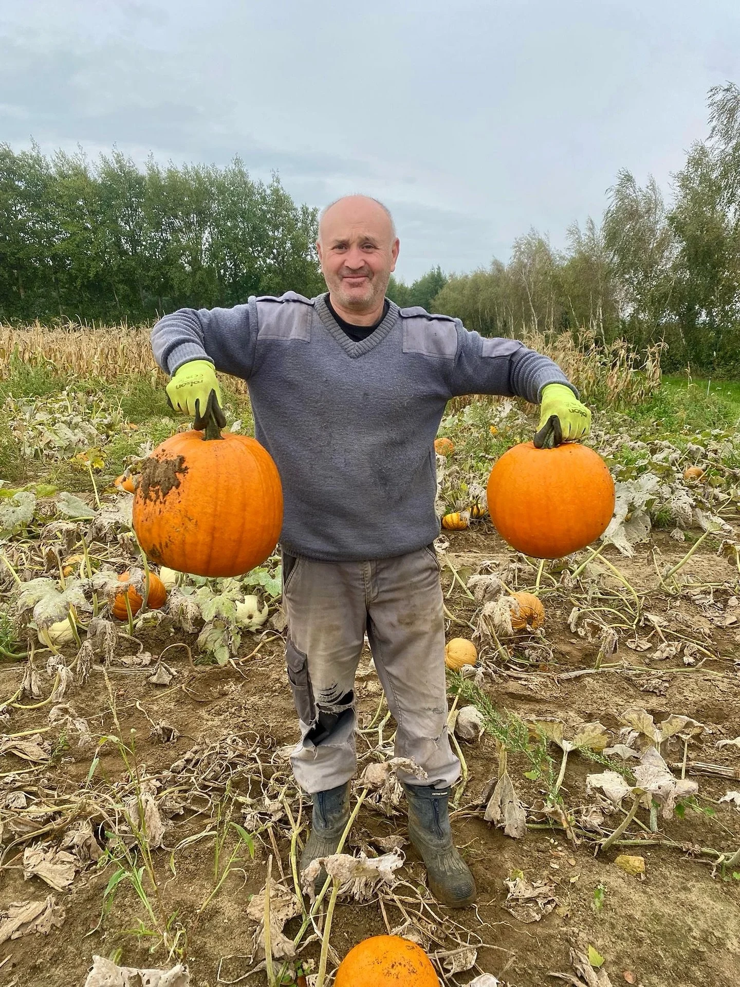 Just 1 week until our Pumpkin Patches at Cobbs Hungerford and Stratford are open!🎃

Our amazing patches will be FILLED with pumpkins from our friends at @rectoryfarmpyo . All of their pumpkins are grown in Oxfordshire fields and not under polytunnel