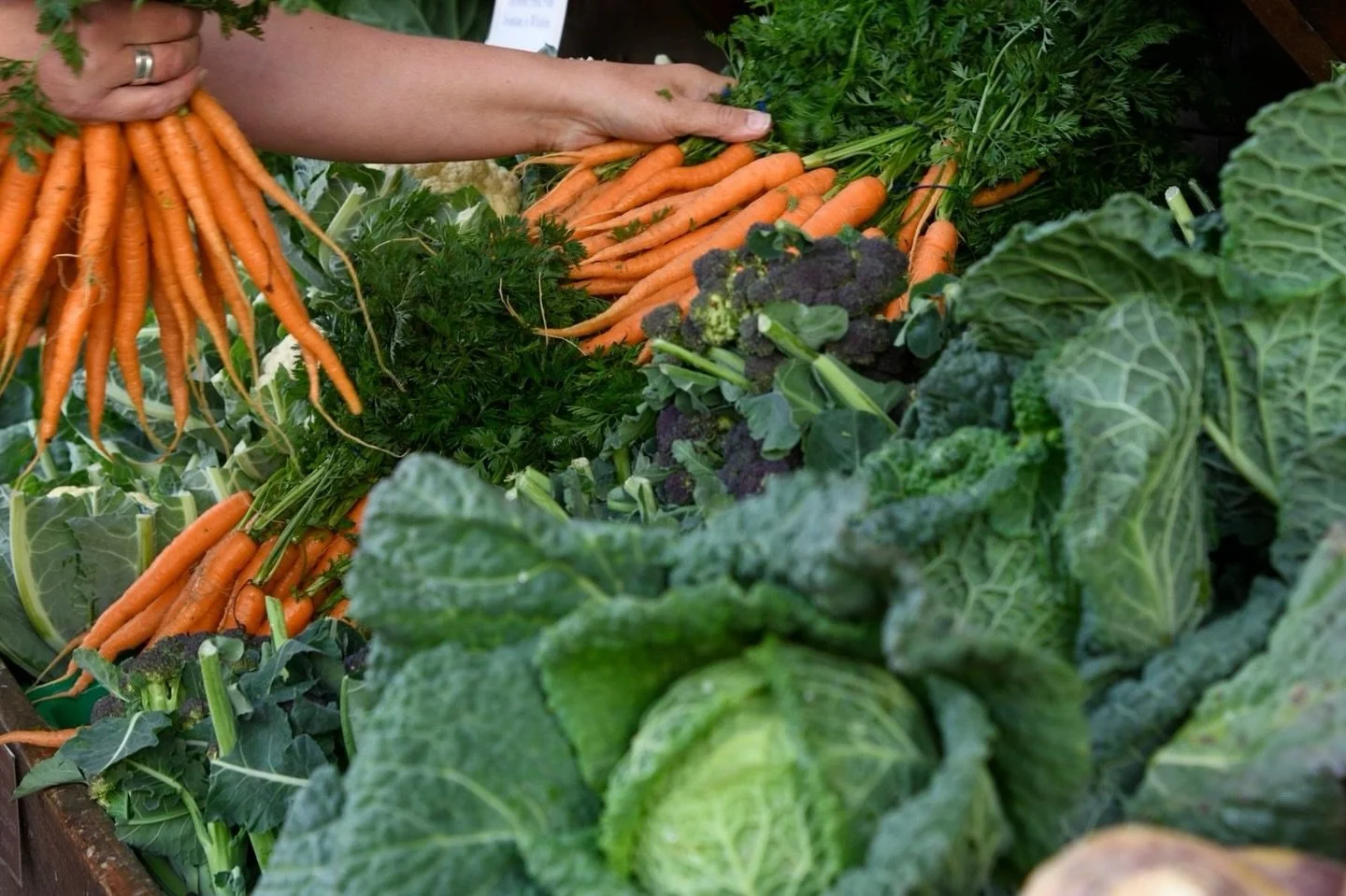 Today is National Farmers Day🌱💚

Here at Cobbs Farm Shops we are proud to celebrate British Farming. Now, more than ever, our farmers and food growers need our support!🌱

We believe that farm shops are so much more than a place to pick up grocerie