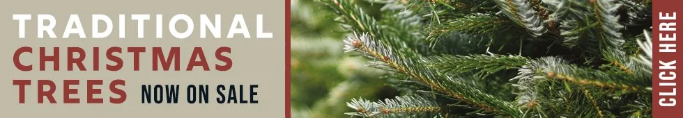 Christmas Trees 2025_Web banner copy.jpg
