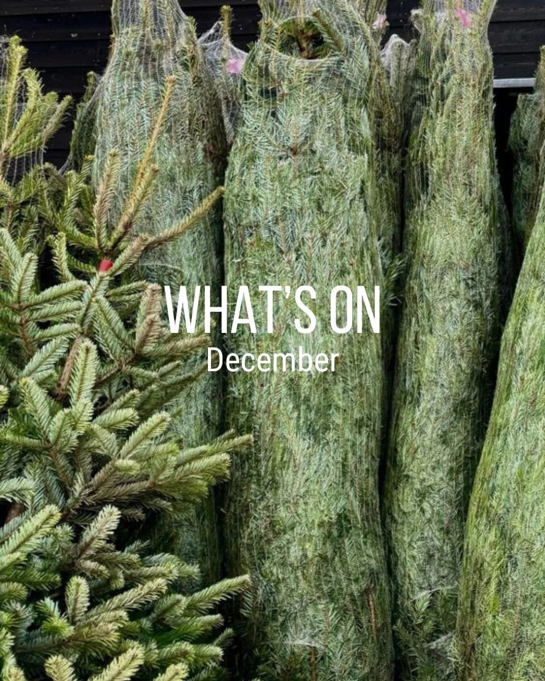 What&rsquo;s On - December🎅🏻🎄

Englefield:
🎄 @thespitfiresisters - Sold Out
🎅🏻Festive Afternoon Tea - All Month
🎄Festive Lunch Menu - Until 21st December
🎅🏻Christmas Food Orders - Deadline is 14th December
🎄Christmas Food Collection Dates &