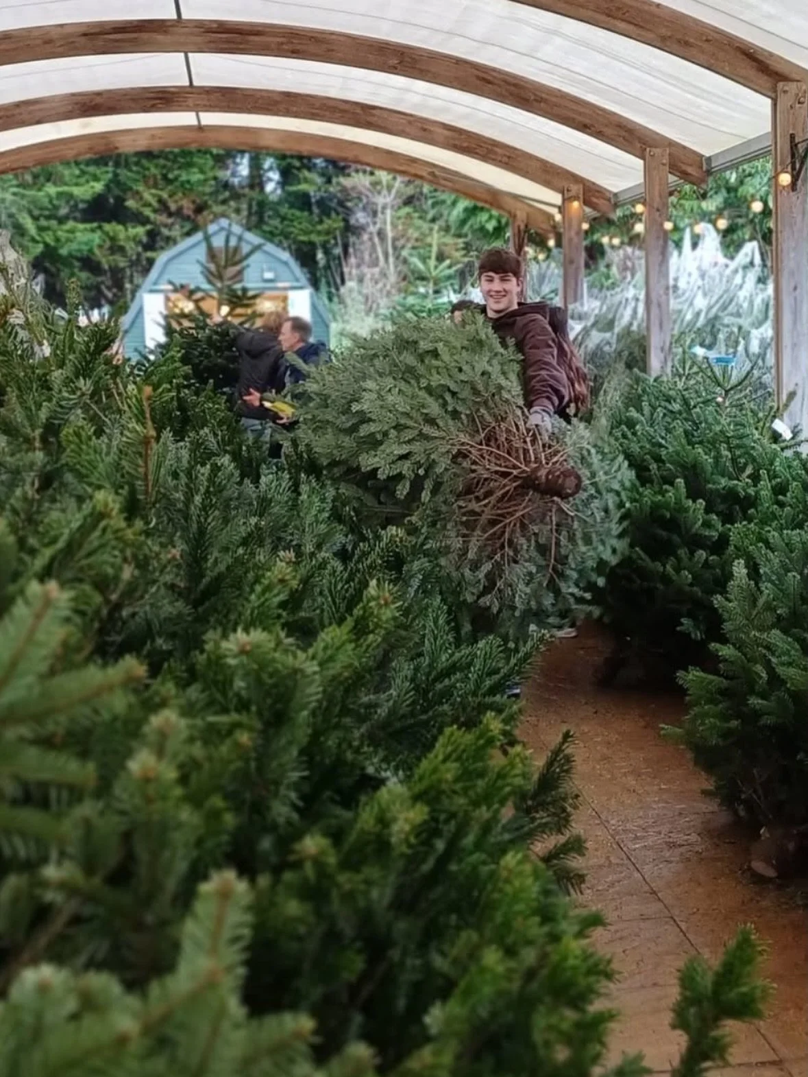 Christmas Trees!🎄🎄🎄

Find the perfect Christmas tree at Cobbs Farm Shops! Our Christmas trees are on sale now, whilst stocks last, at Cobbs in Hungerford, Stratford, and Winchester. 

🎄All our Christmas trees are grown in the UK from a sustainabl