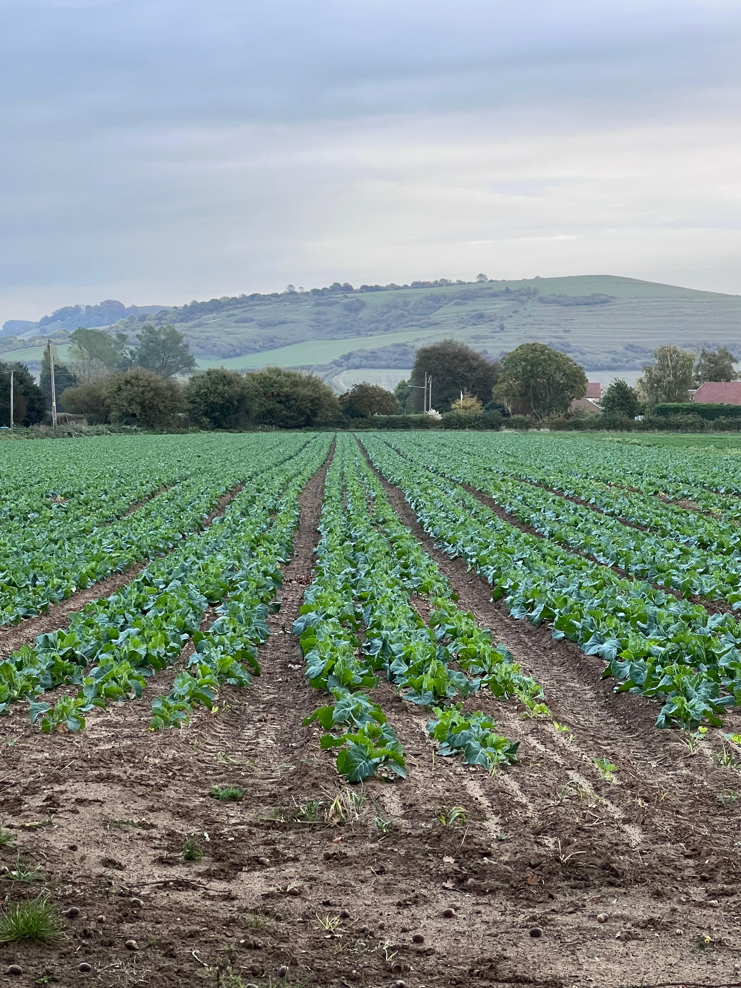 WhatsApp Image 2025-12-22 at 13.06.30.jpeg