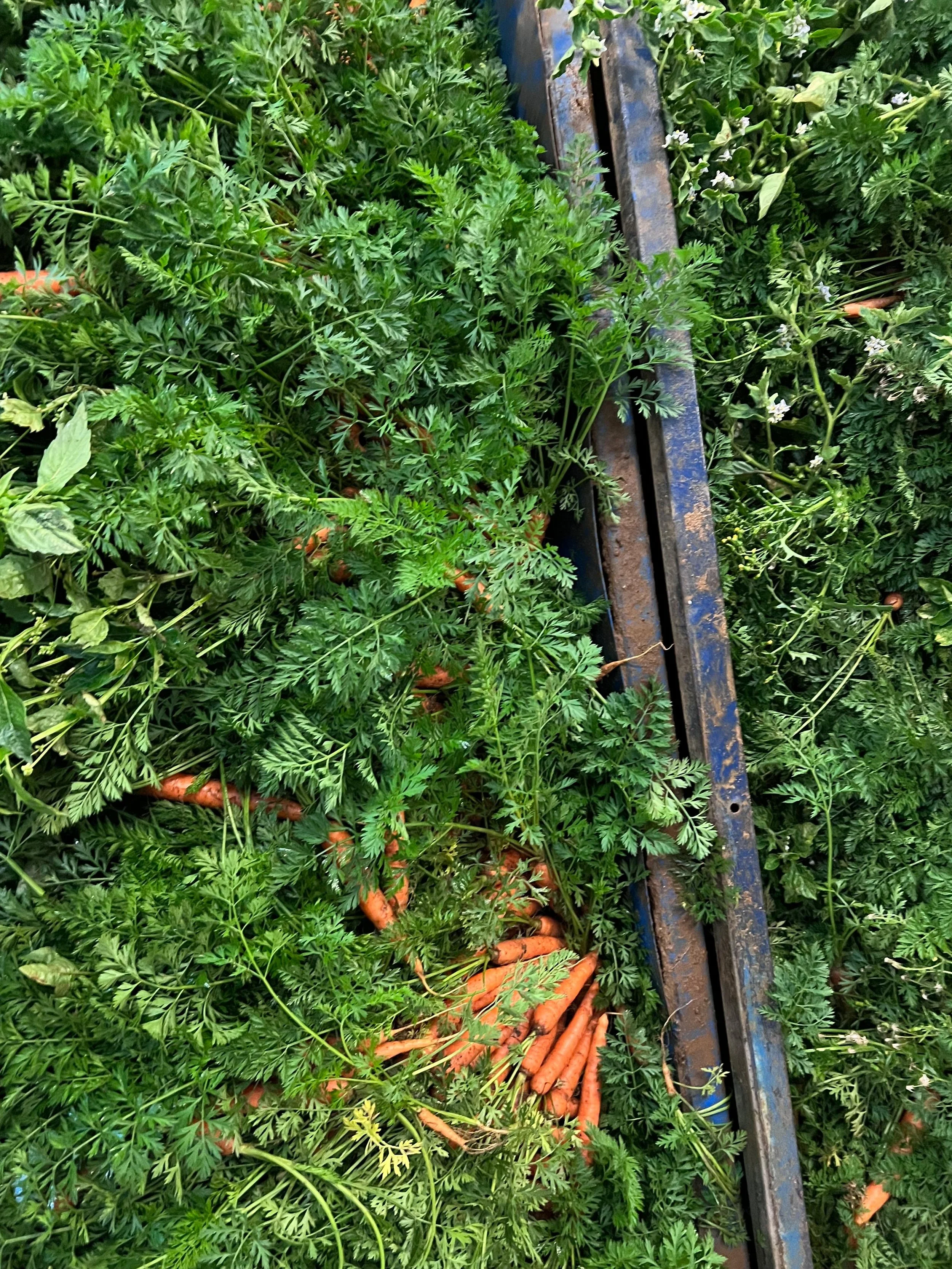 WhatsApp Image 2025-12-22 at 13.06.31 (4).jpeg