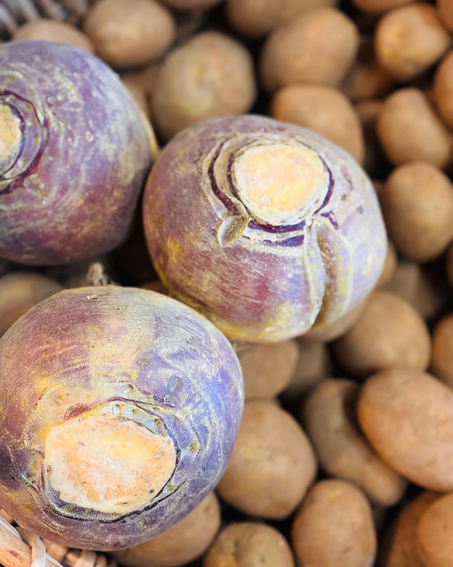 Burns Night Celebrations!✨

Join us for a night of Scottish tradition at Cobbs Englefield and Hungerford! Celebrate Burns Night with a delicious supper featuring the classic haggis, neeps &amp; tatties. Let&rsquo;s raise a glass and enjoy a night ful