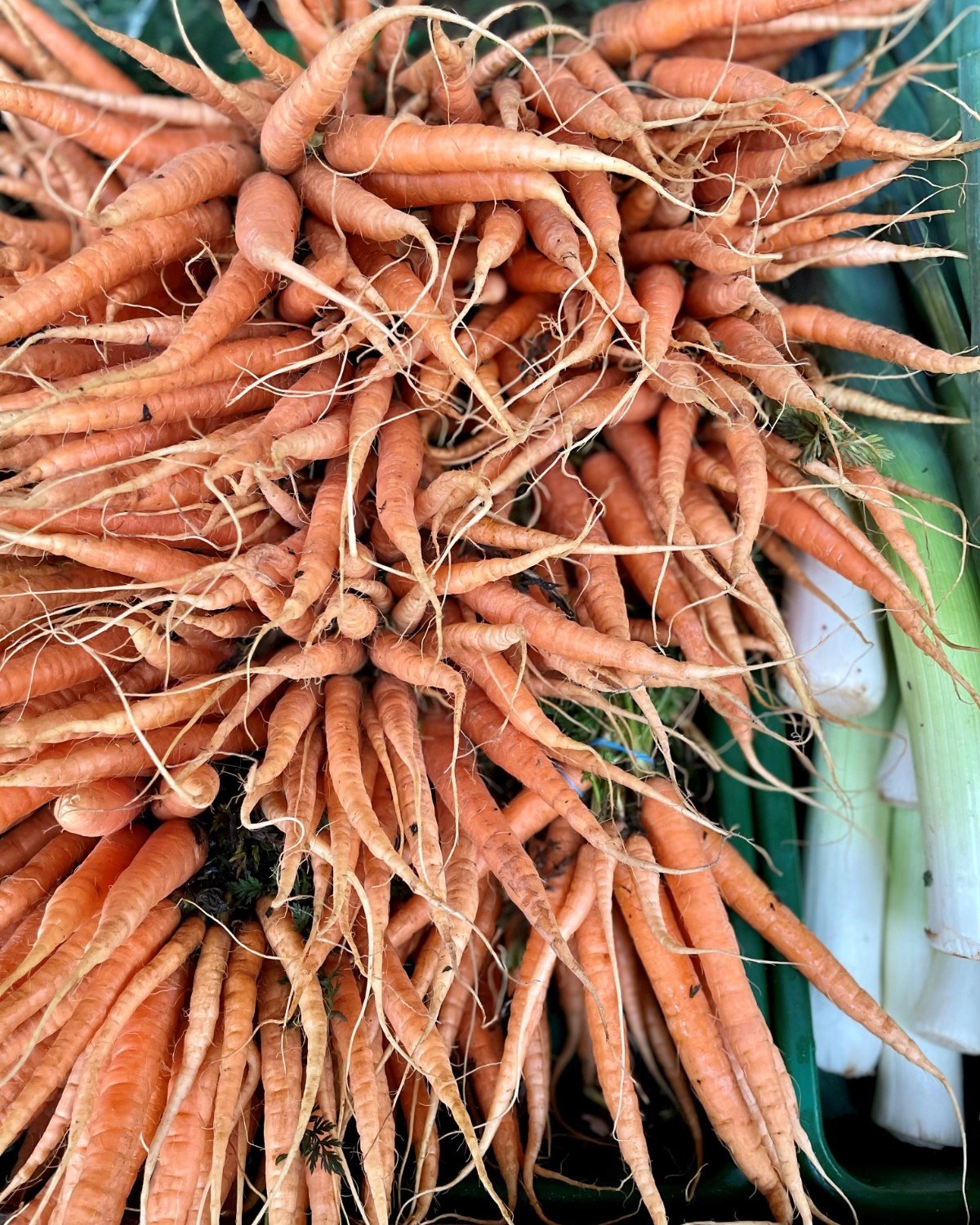 Seasonal fruit and veggies 🥦🥕🍎

Soup and stew season is here❄️ Leeks, bunched carrots, Parsnips, Purple sprouting broccoli, Kohlrabi, and Savoy cabbage are all in season and all freshly produced by Pagets Produce!

Come and pop by to see what seas