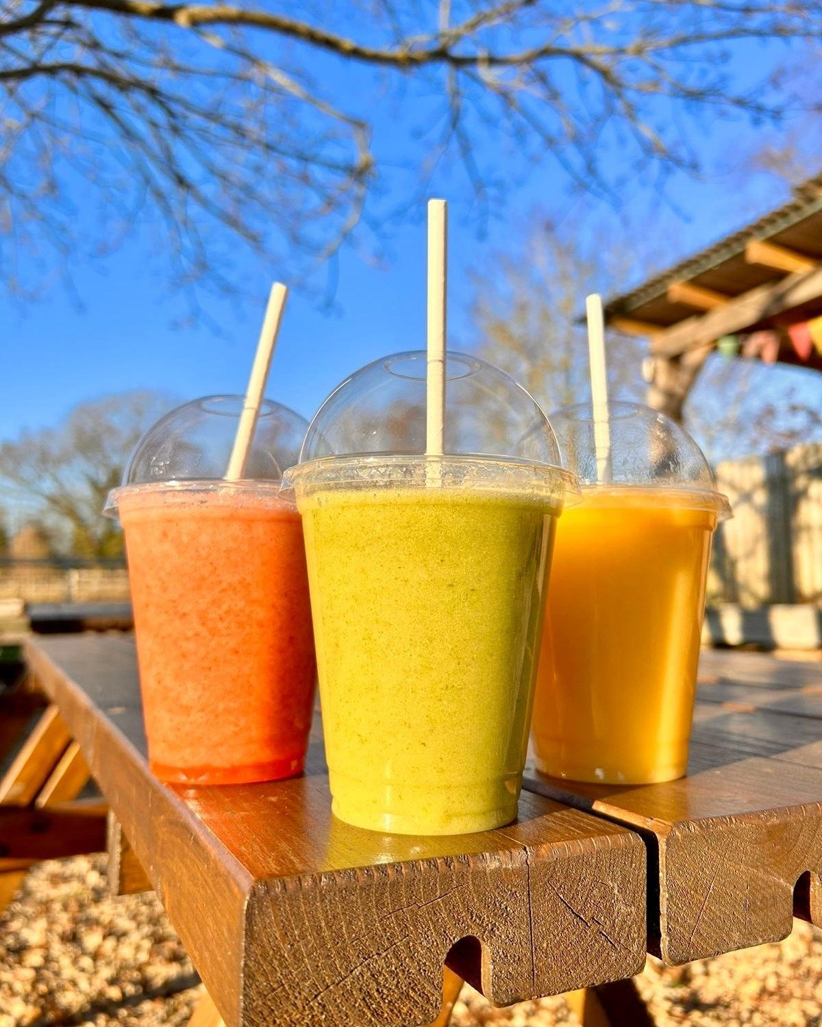 Here&rsquo;s your reminder to pop in and treat yourself to a delicious smoothie from our caf&eacute; 🍒🍓🍍🍌🍏

Perfect to grab and go for a crisp winter walk, or to enjoy inside while warming up by the fire ❄️🔥

Which one will you choose? 🤷🏻&zwj