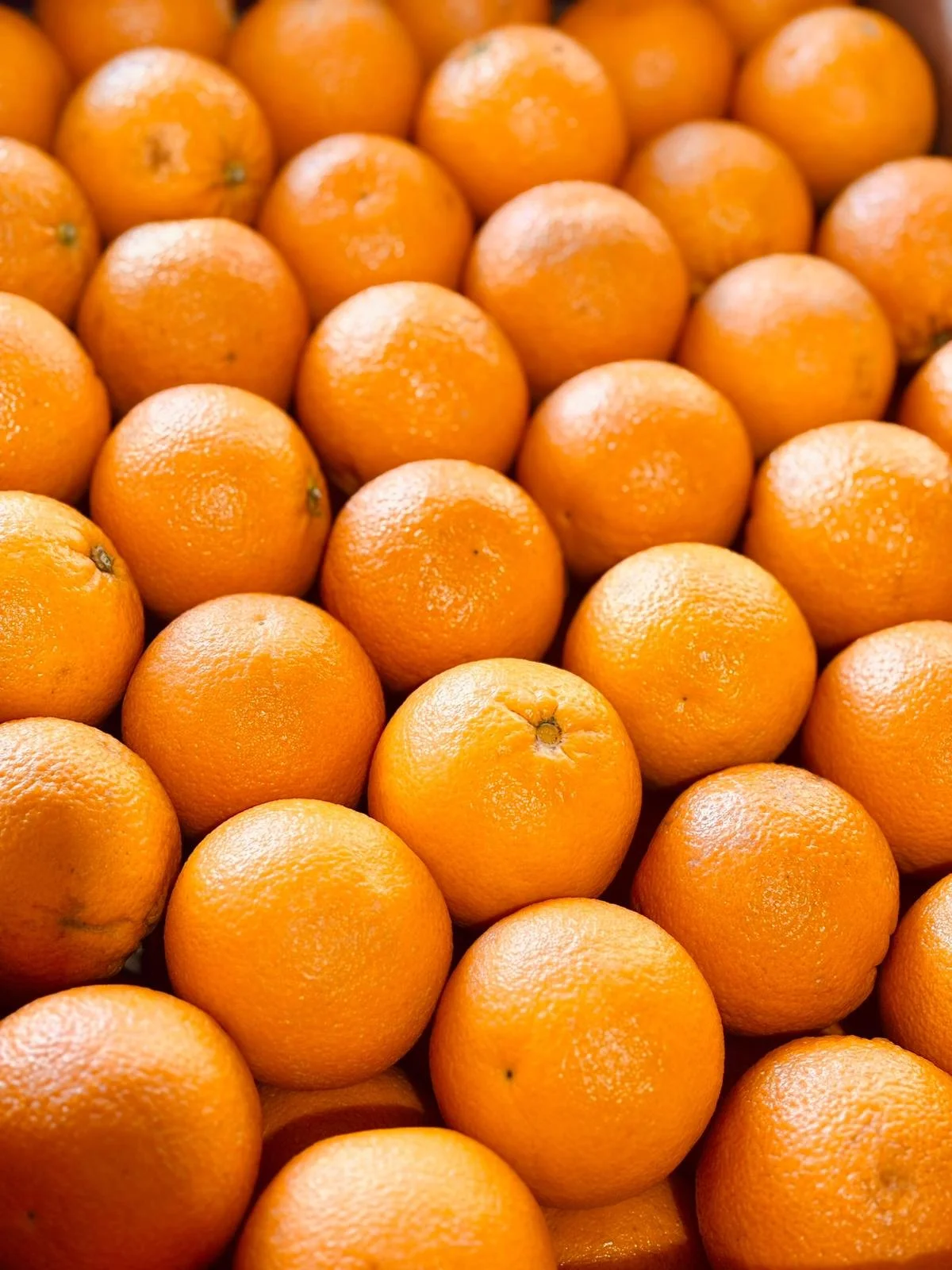 Seville Oranges 2.jpeg