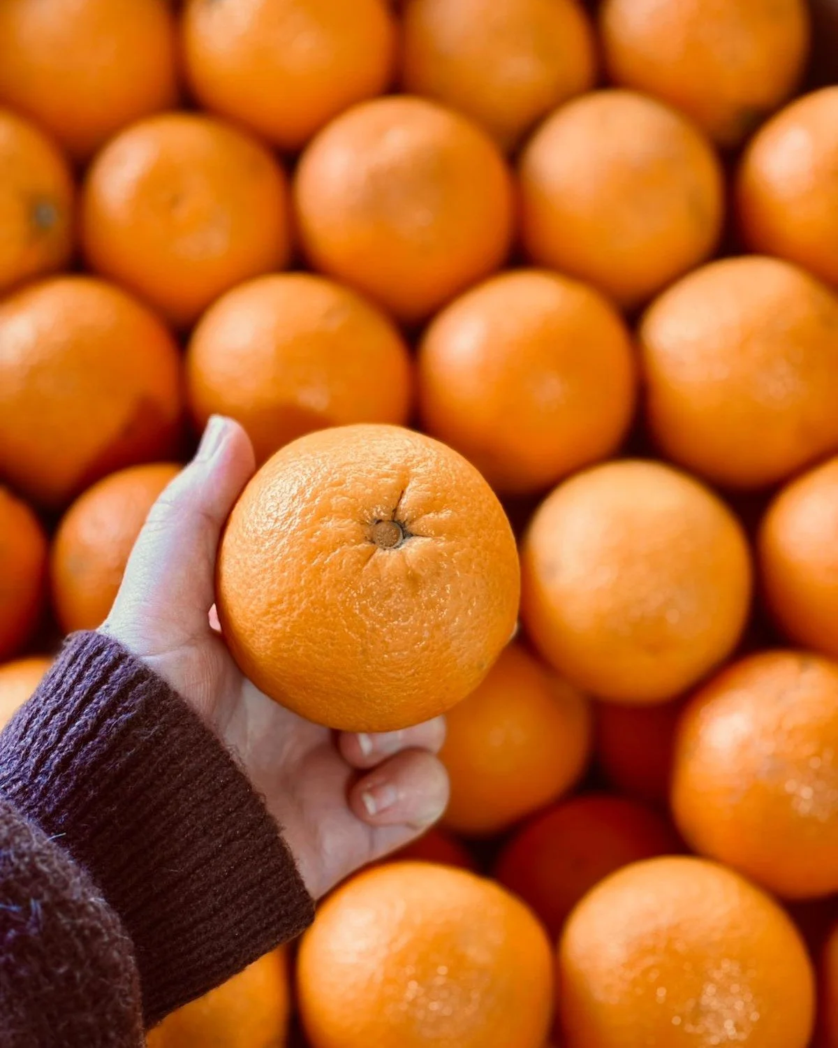 Seville Oranges - Make your own marmalade!🍊🧡

You will need: 1.2kg Seville oranges, 2 lemons (juice only), 2.4kg unrefined granulated sugar, 2ltrs of water. (Makes 5-6 jars).

🍊Scrub the oranges &amp; put them into a large pan, and ensure the oran