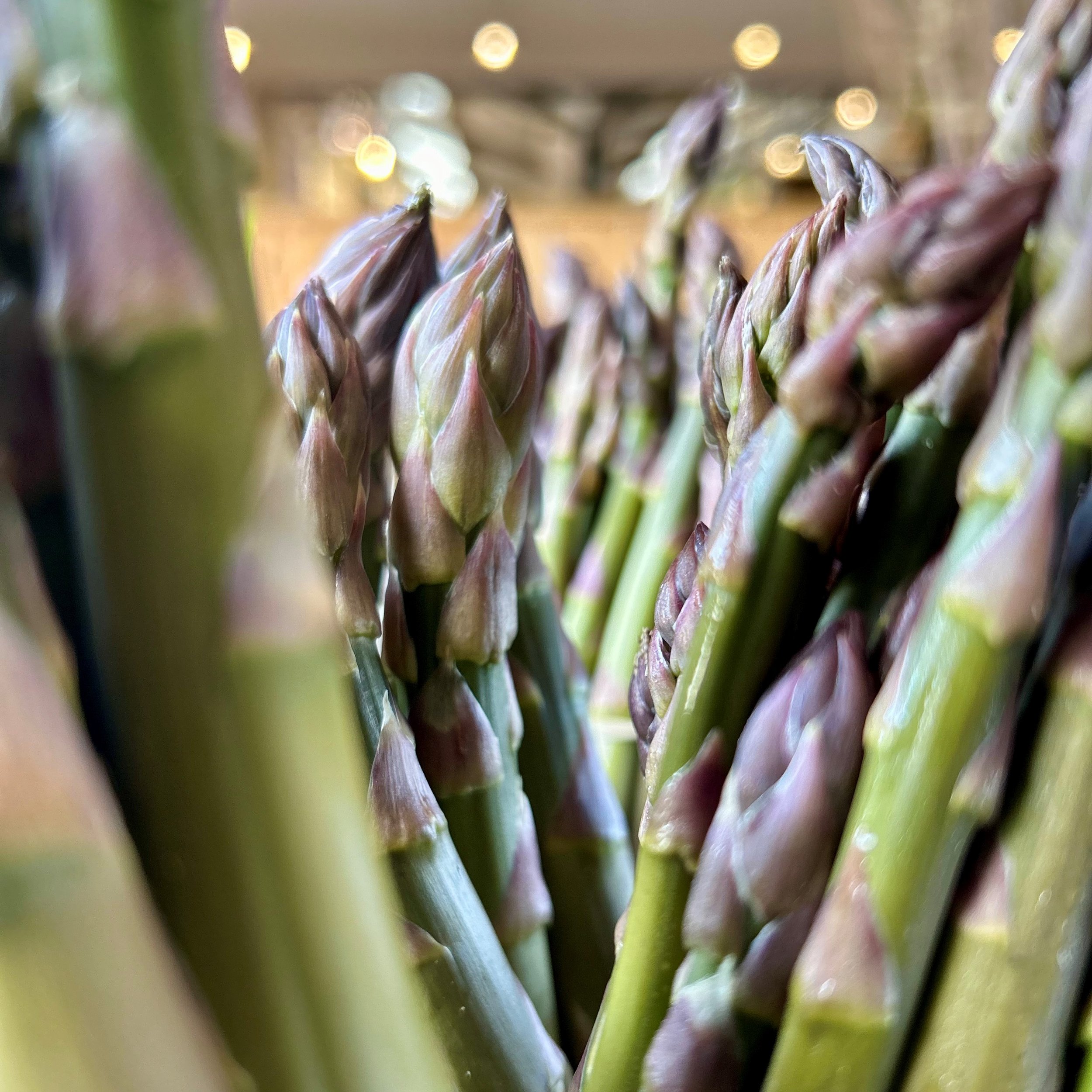 Asparagus.jpg