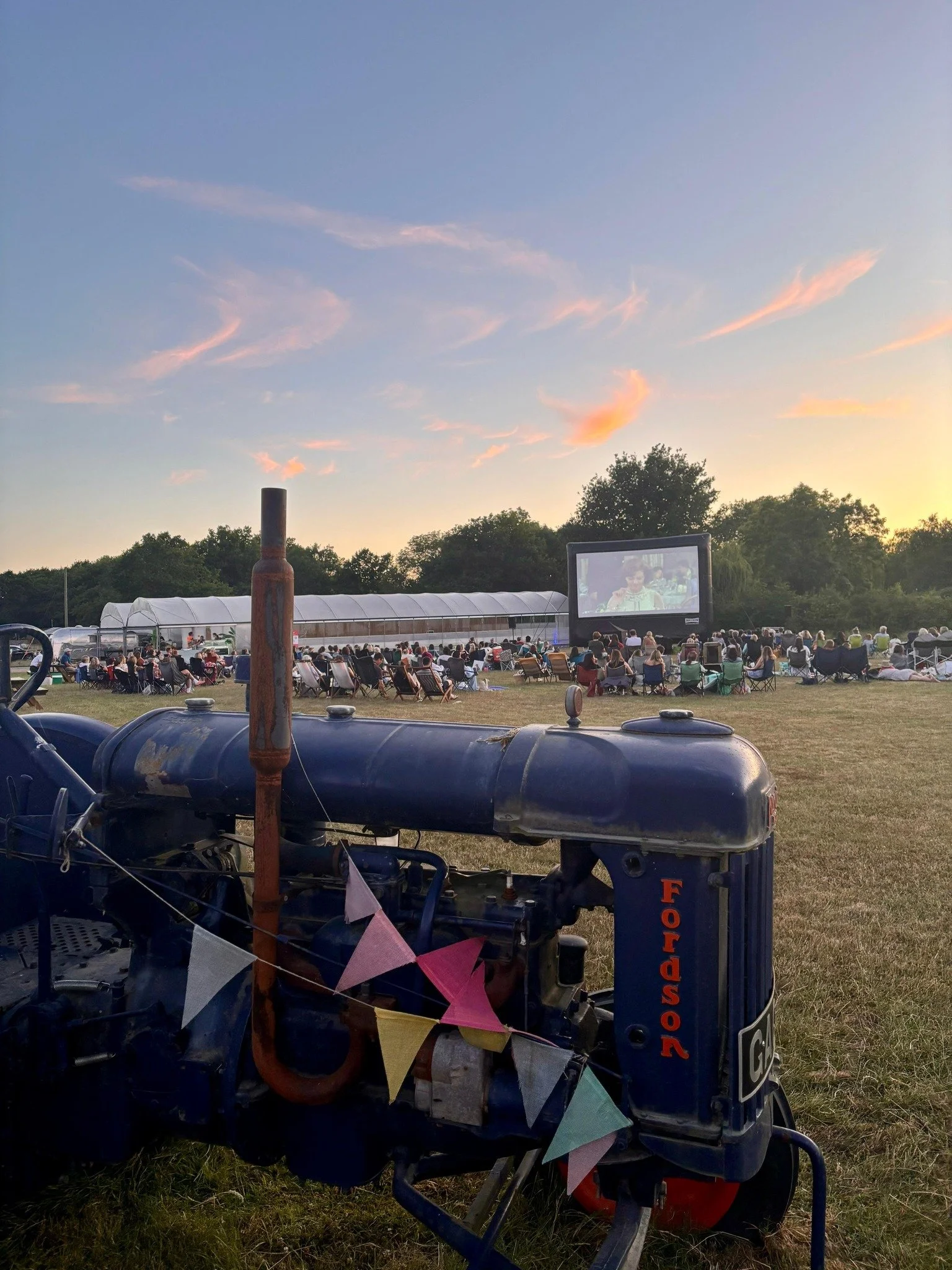 Open Air Cinema Pic.jpg