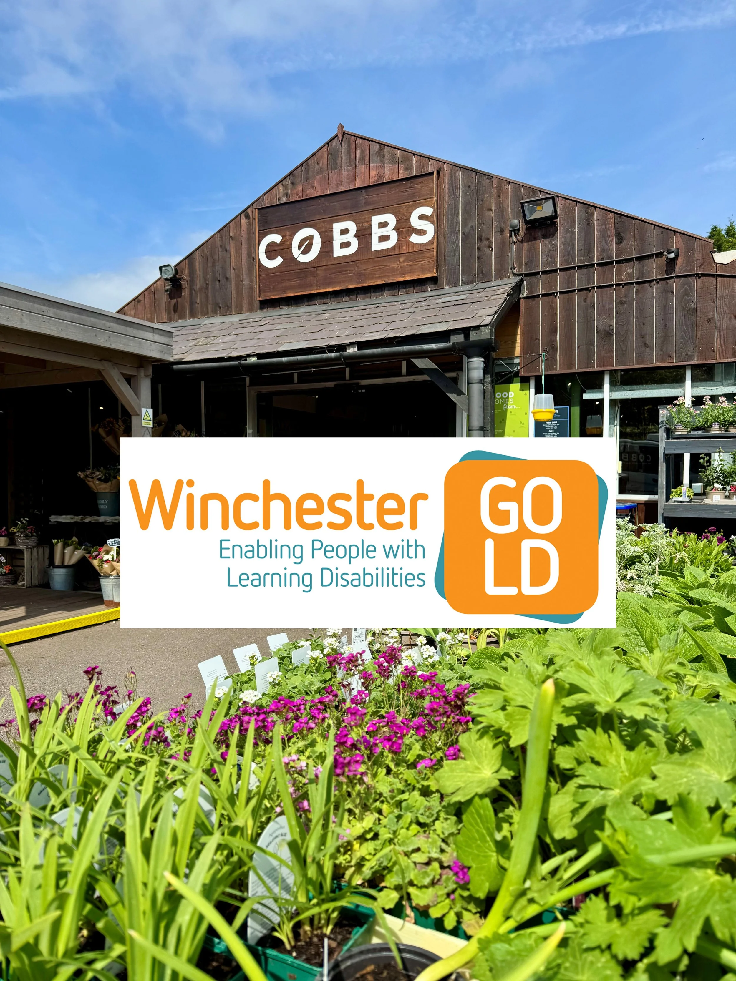 Winchester GOLD_Website.jpg