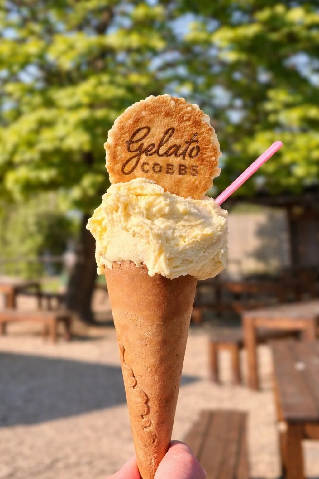 Gelato Icecream.jpg