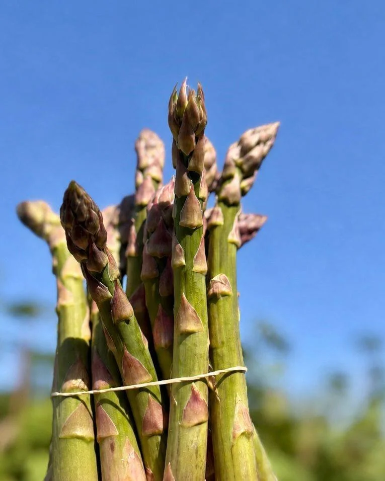 Asparagus Health Benefits 💚

Incorporating asparagus into your diet can provide a wide range of health benefits, especially when it&rsquo;s as fresh as the asparagus we source from @rectoryfarmpyo in Oxfordshire:

💚 Low in calories but packed with 