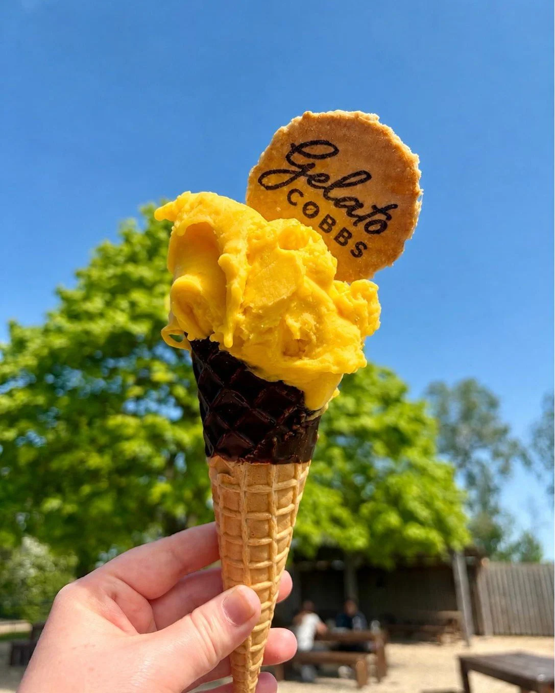 Come rain or shine, our DELICIOUS Cobbs Gelato is the perfect Spring sweet treat!🍦☀️

Our Cobbs Gelato is made by the amazing @warwickshiregelato , based at Cobbs Stratford!

Which flavour is your favourite? 🤔

📸Mango Sorbet in a chocolate-coated 