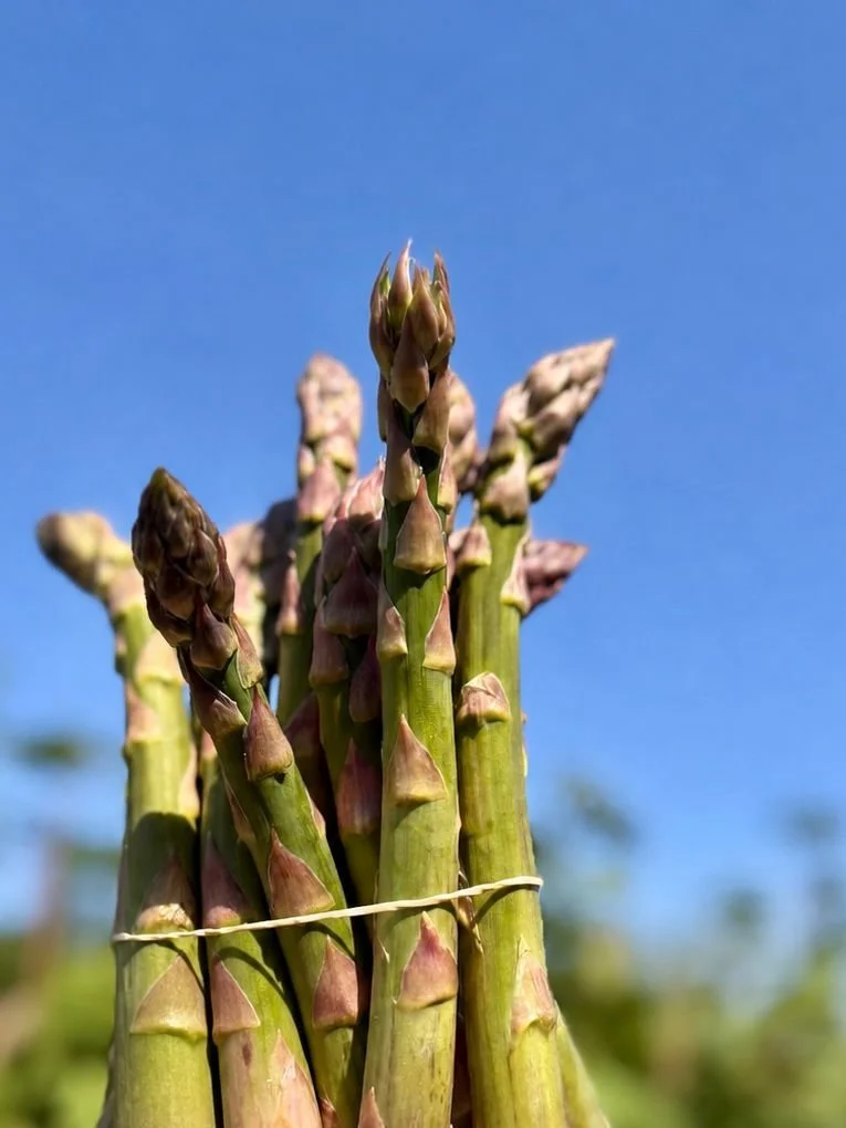 Asparagus Health Benefits 💚

Incorporating asparagus into your diet can provide a wide range of health benefits - especially when it&rsquo;s as fresh as the asparagus we source from @rectoryfarmpyo in Oxfordshire:

💚 Low in calories but packed with