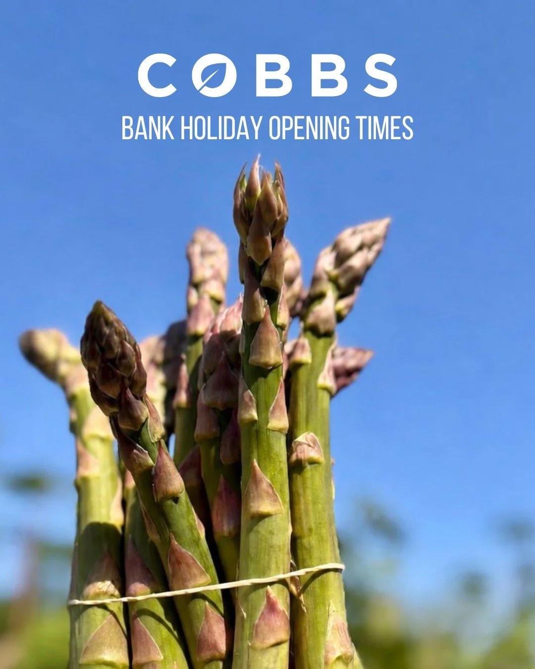 Bank Holiday Weekend Opening Hours☀️

Saturday 23rd May: 
🚜Farm Shop: 9am&ndash;5pm
☕Caf&eacute;: 9am - 4pm

Sunday 24th May: 
🚜Farm Shop: 10am&ndash;4pm
☕Caf&eacute;: 10am - 4pm

Monday 25th May:
🚜Farm Shop: 10am&ndash;4pm
☕Caf&eacute;: 10am - 4p