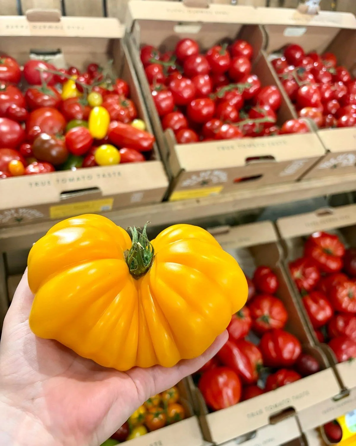 @iowtomatoes - Packed with sunshine!🍅☀️

Grown in the island&rsquo;s sunny coastal climate, for naturally sweet, full-flavoured tomatoes. Perfect for salads, roasting &amp; summer dishes!

Come and grab yours today😍

#CobbsFarmShops #BestOfLocalAnd