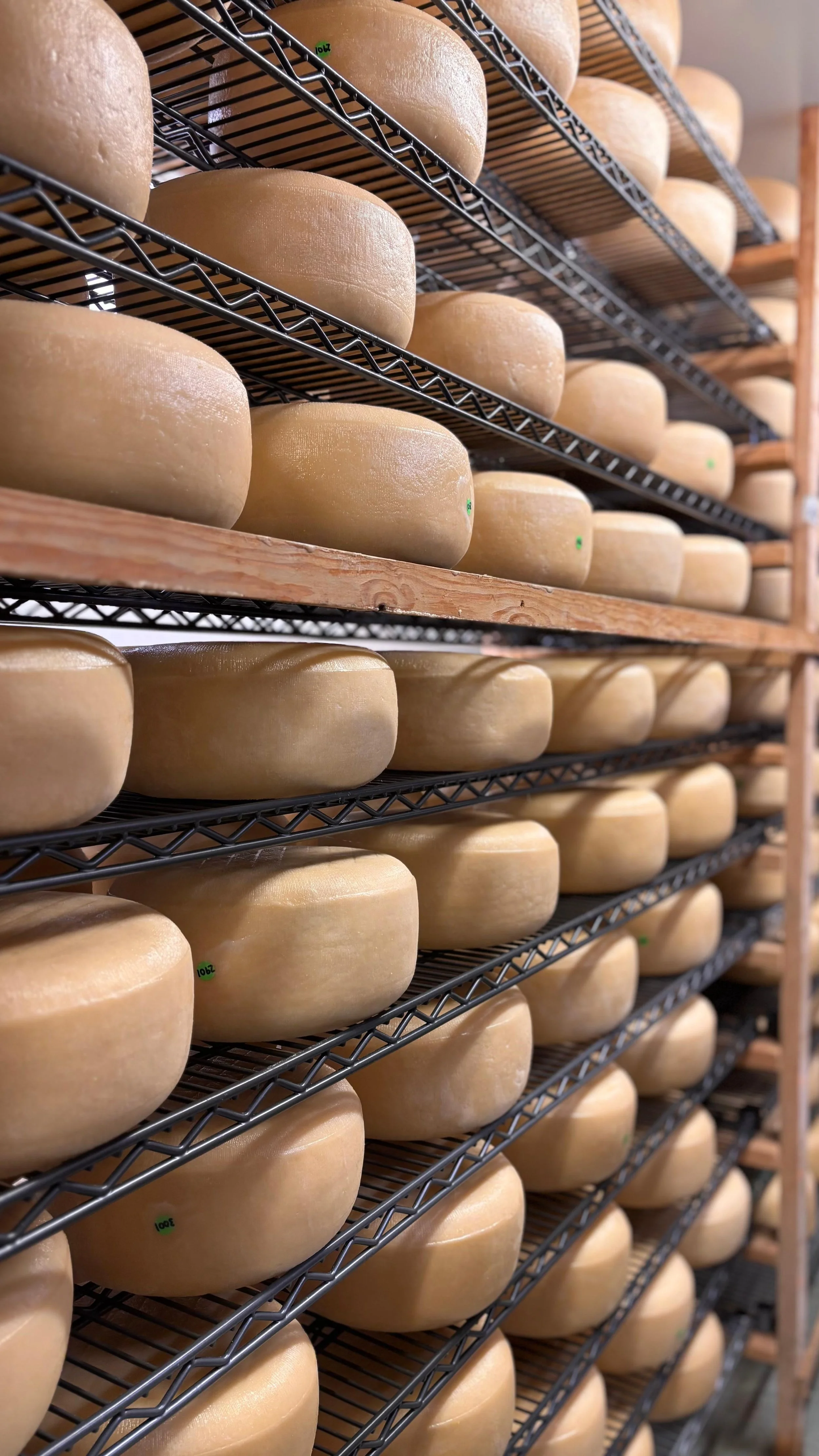 Lyburn Cheese Visit 3.jpeg