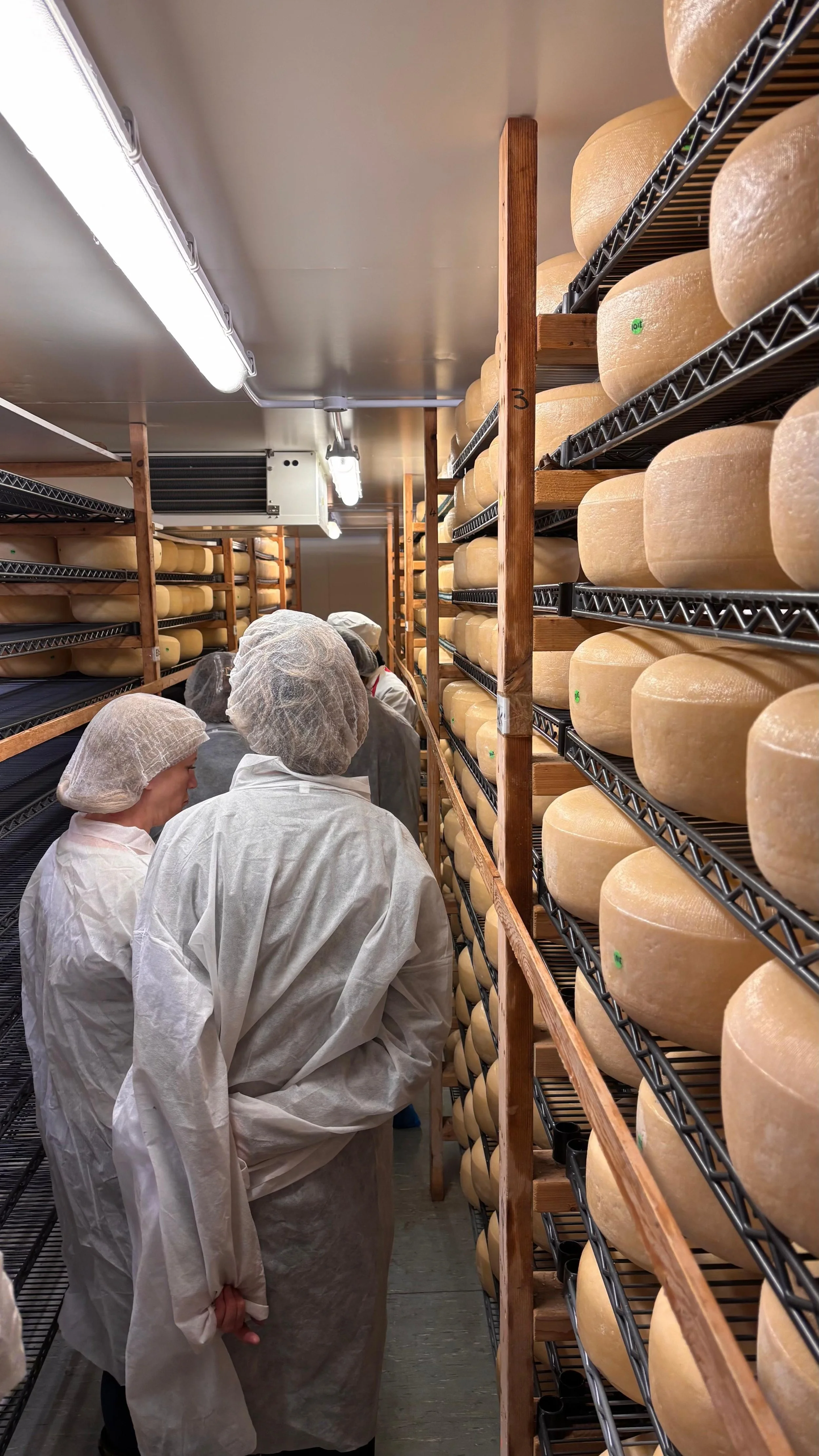 Lyburn Cheese Visit 2.jpeg