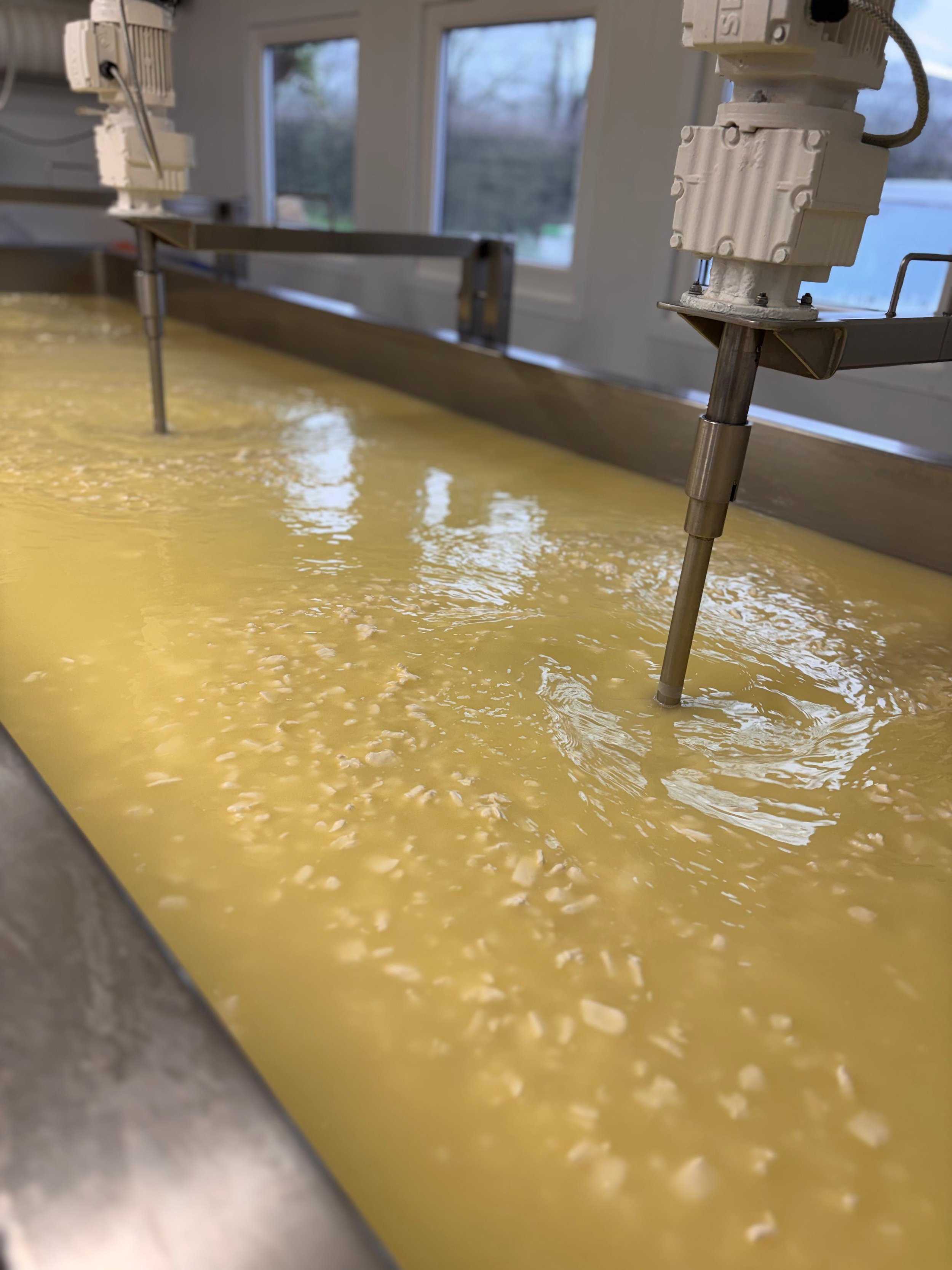 Lyburn Cheese Visit.jpeg