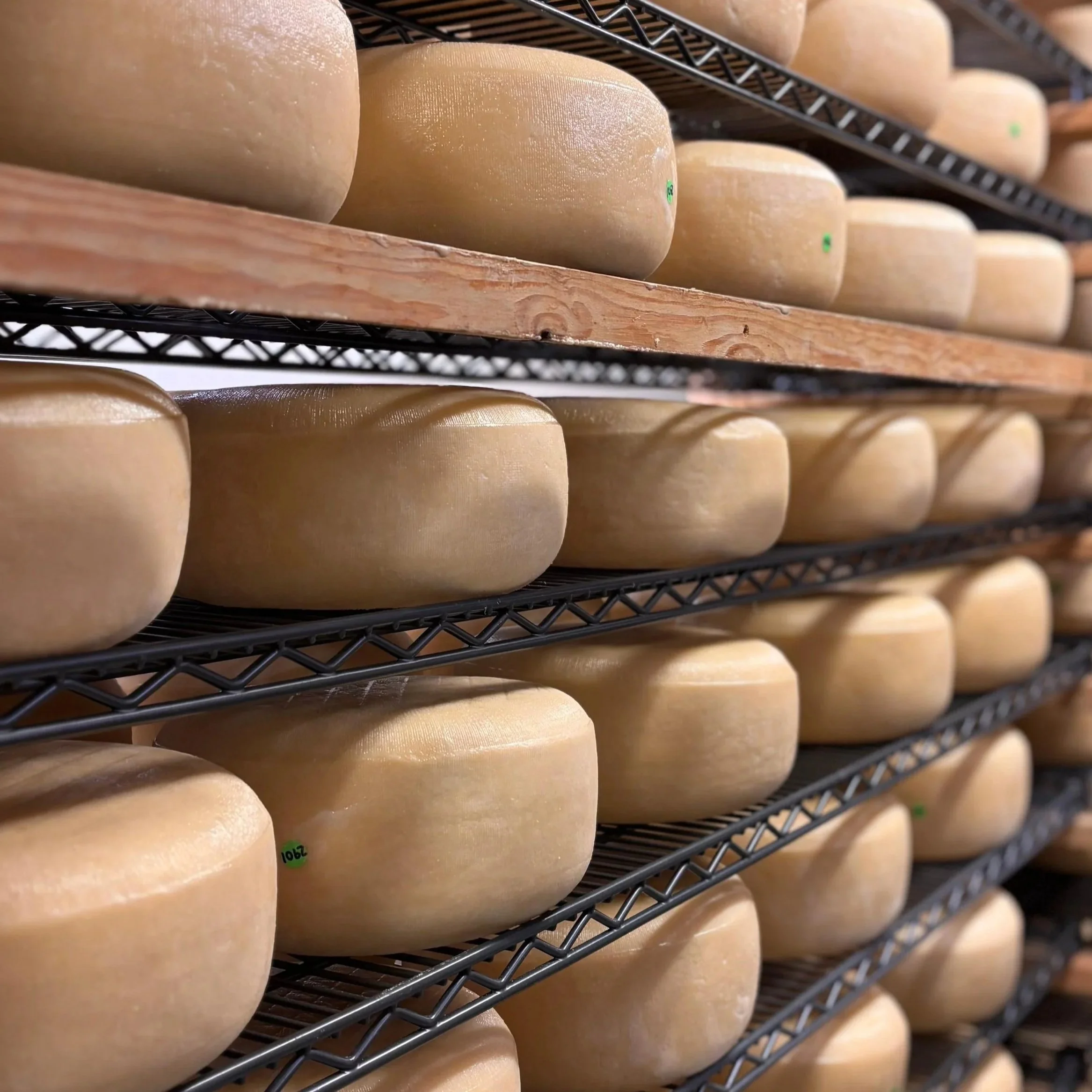 A Visit to Lyburn Cheese Farm