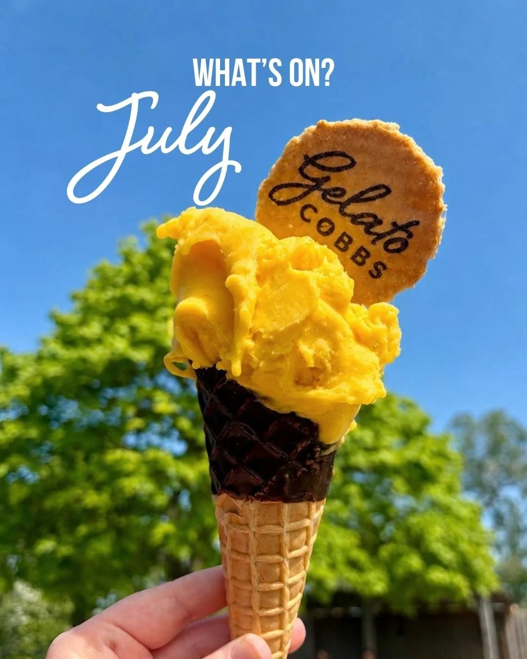 What&rsquo;s On July🍒☀️

Englefield:
🍒Kids Eat For Free - From 13th July
☀️Hansons Auctioneers Free Valuation Day - 15th July
🍒BBQ Season - All Month
☀️Summer Special Drinks - All Month
🍒Knickerbocker Glory of the Month - Cherry Cola
☀️Johnsons F