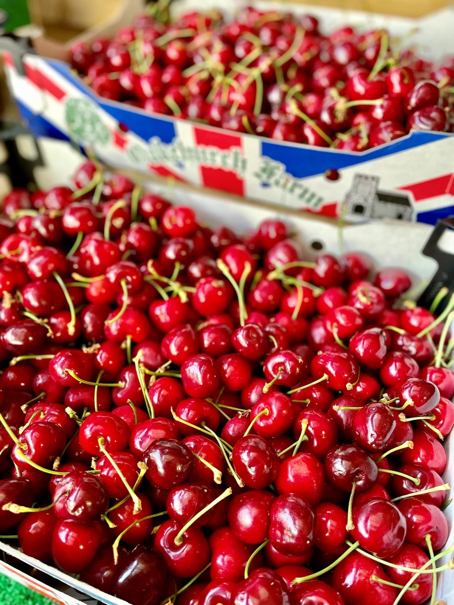 ☀️Summer Fruits Sunday - Cherries🍒

🍒Cherries belong to the same family as peaches, plums, and almonds, known as the Rosaceae family. 
🍒There are more than 1,000 varieties of cherries grown around the world. 
🍒The average cherry tree can produce 