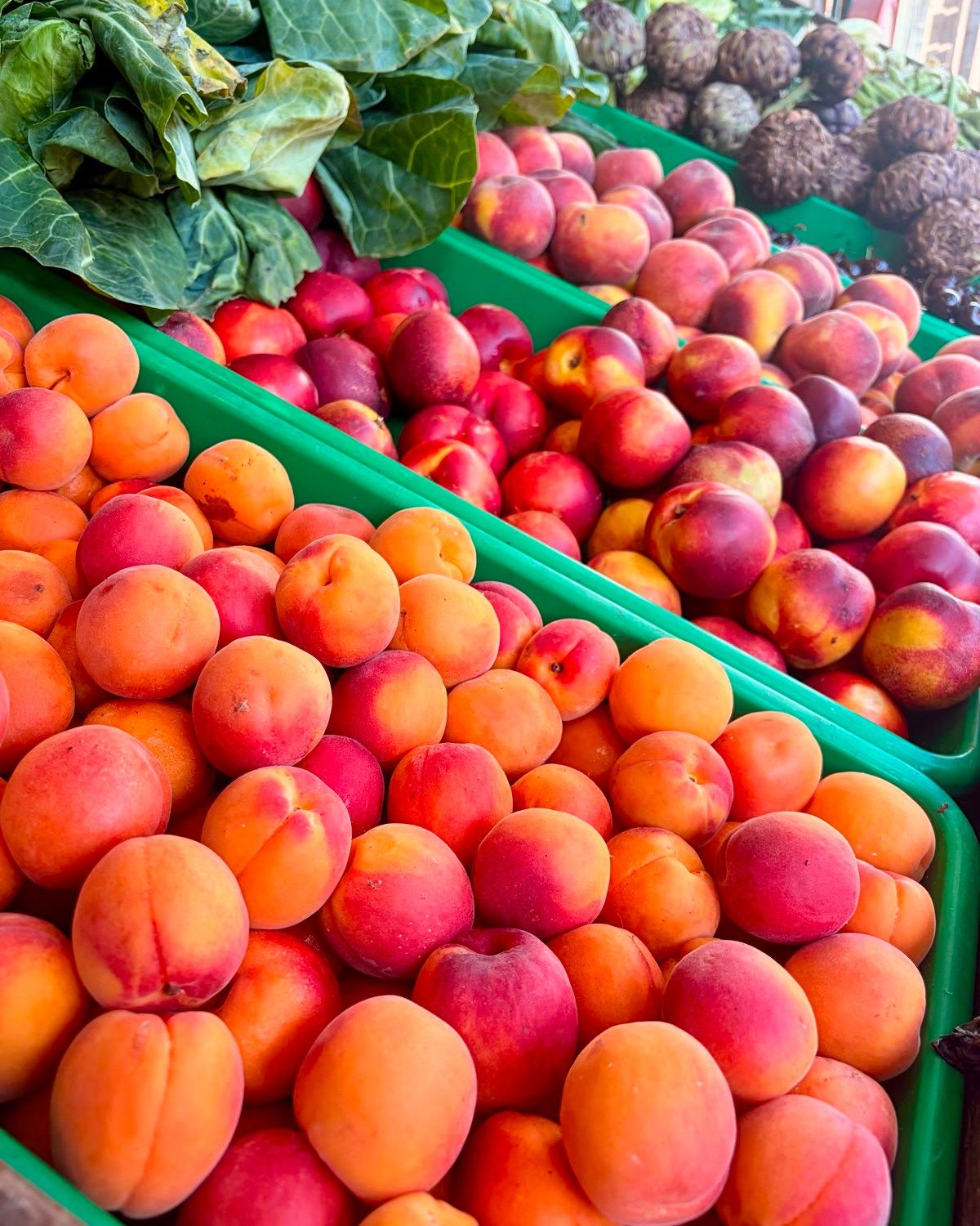 ☀️Summer Fruits Sunday - Apricots🍑

🍑Apricots are rich in vitamins A and C, which are essential for maintaining healthy skin and immune function.

🍑Apricots are a good source of potassium, which helps regulate blood pressure and maintain heart hea