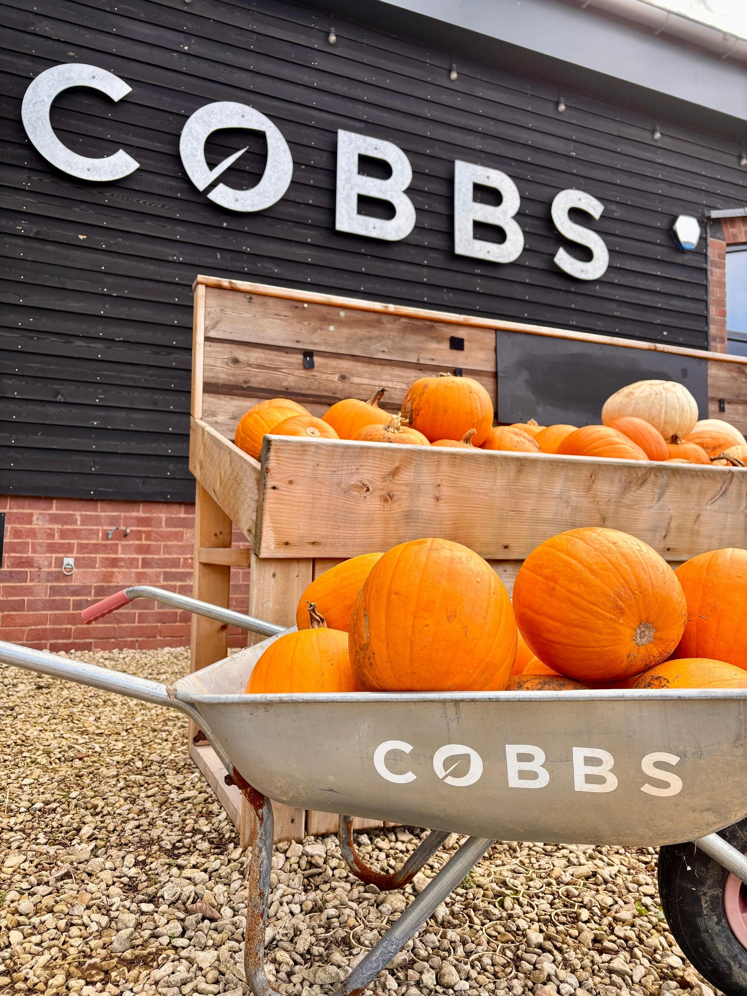 Your Guide to Autumn 2026 at Cobbs