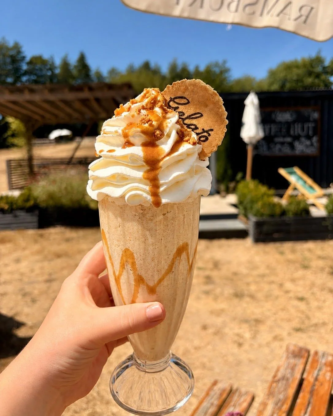 🍪Gelato of the Month🍦

Say hello to Biscoff, available through August and September!🍪🍦

Enjoy it your way:
🥤 Blended into a dreamy milkshake
🍪 Stacked high in a Knickerbocker Glory
🍨 As a classic gelato

Book your table via the link in our bio