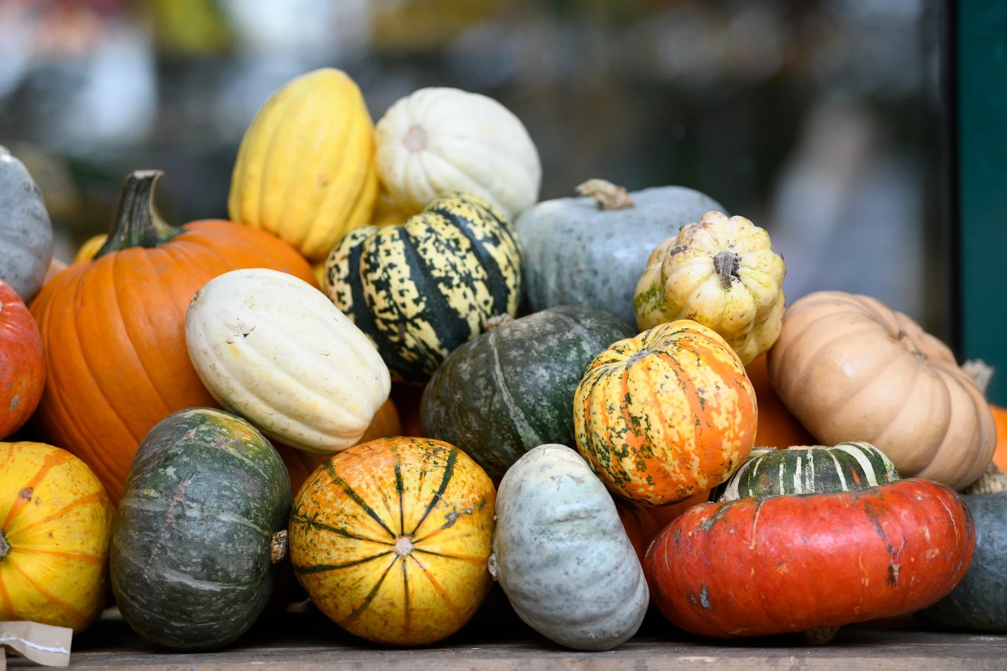 Squash season is here!🍂

With their gorgeous colours, shapes, and textures, they look wonderful piled up in a bowl or displayed around the home, and even better roasted, stuffed, baked, or added to soups and salads. 🧡

Beautiful to look at, delicio