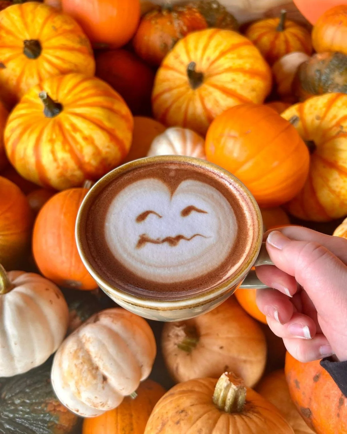 As well as carving out jack-o'-lanterns for Halloween, pumpkins can also be used in many recipes! Pumpkin soup, Pumpkin cake, Roasted pumpkins, Pumpkin pie, and the infamous Pumpkin spice latte😍
�
There are plenty of pumpkins and winter squashes ava