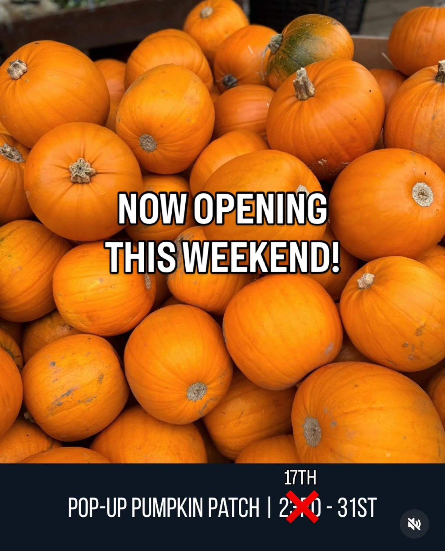 🎃🍂 We&rsquo;re kicking off our autumn festivities a little earlier than planned! 🍂🎃

Our pumpkin patch will be opening THIS SATURDAY, 17th October! 🧡 Help us spread the word! 

Come along and enjoy a lovely autumn day in the fresh air, soak up t