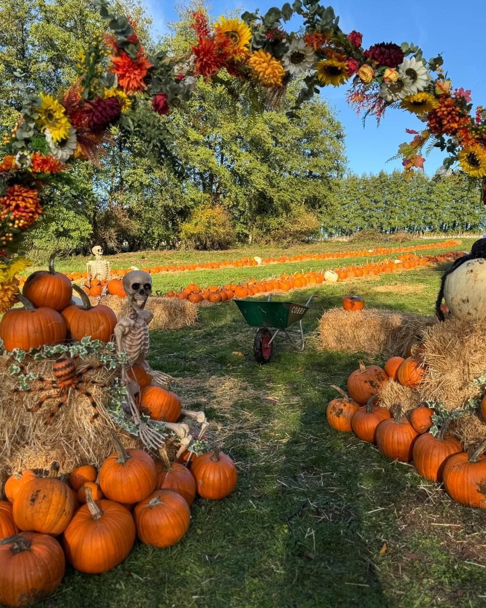 🎃🍂 We&rsquo;re kicking off our autumn festivities a little earlier than planned! 🍂🎃

Our pumpkin patch at Cobbs Hungerford will be opening TOMORROW - Saturday 17th October! 🧡

Come along and enjoy a lovely autumn day in the fresh air, soak up th