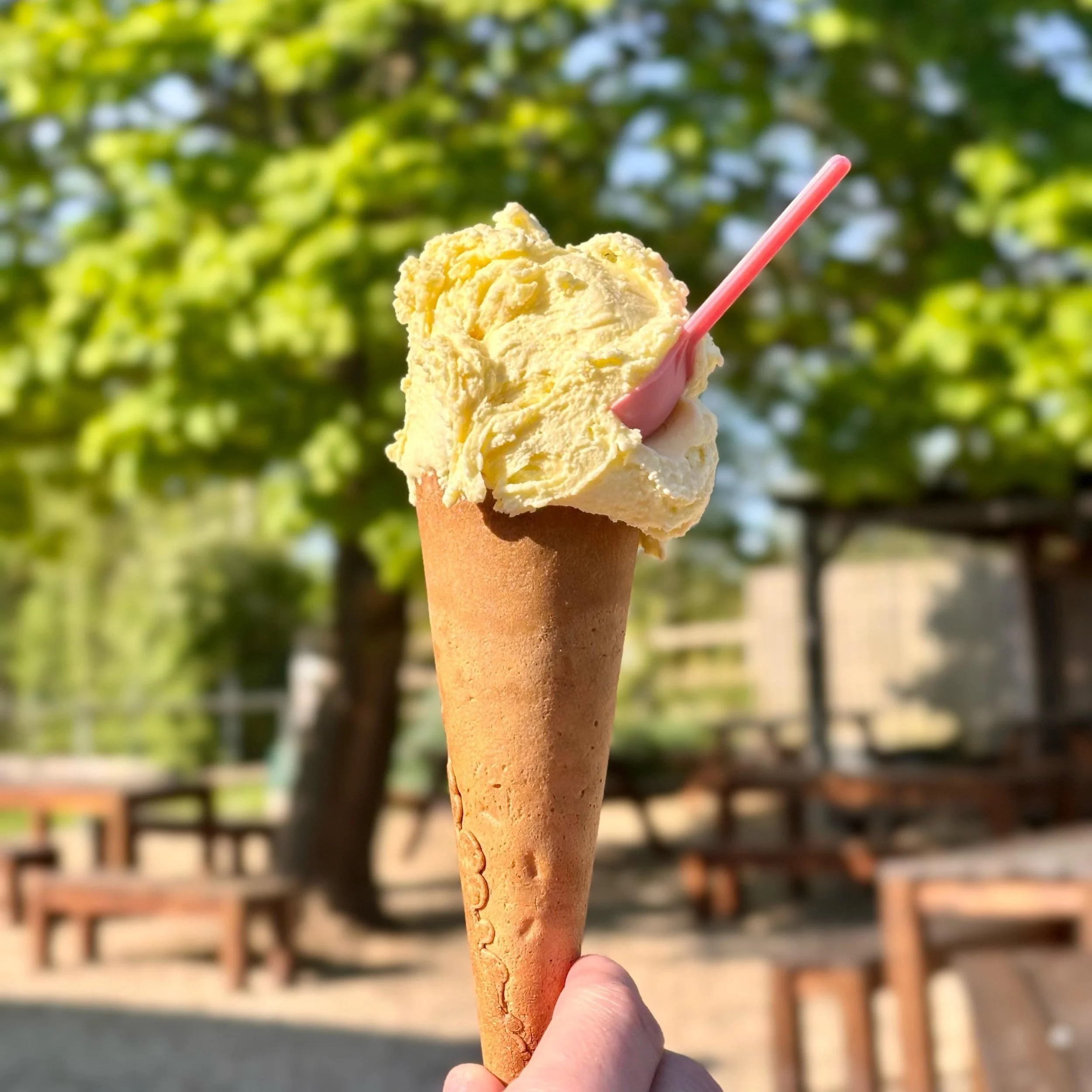July is National Ice Cream Month… but let’s talk Gelato!
