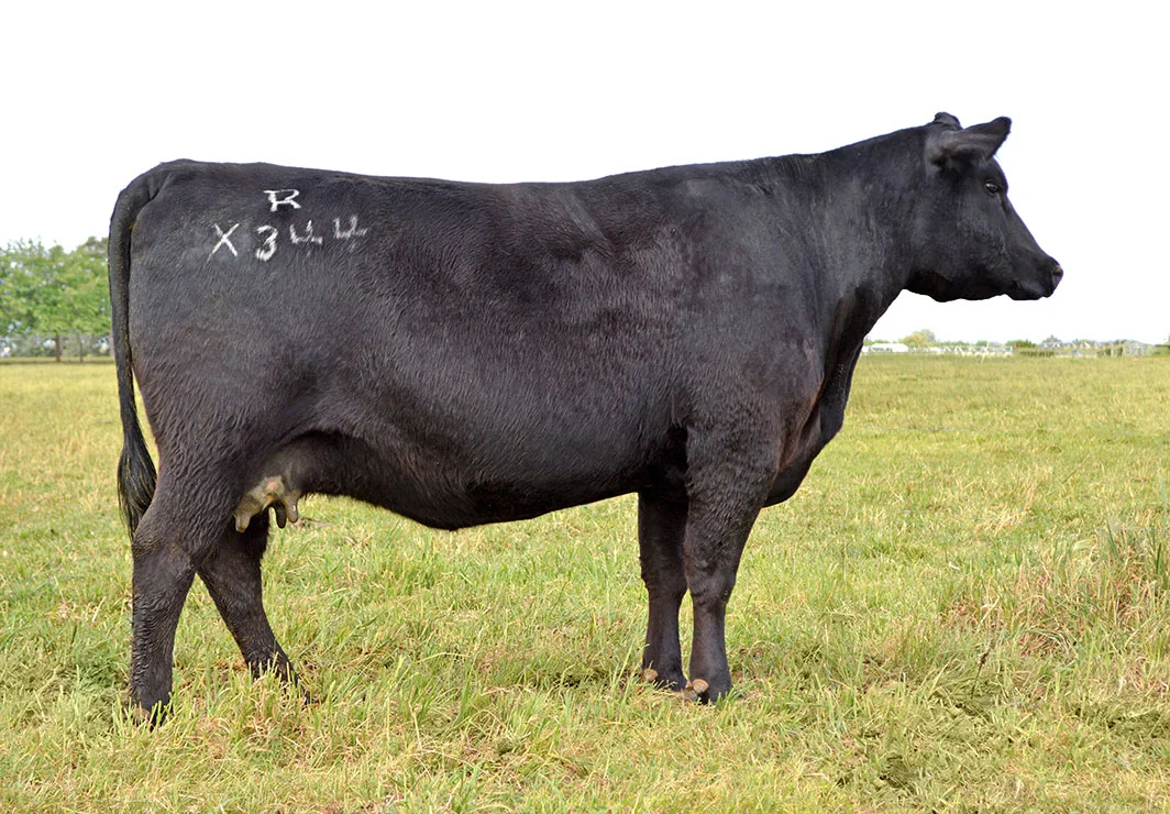 Tehama-Echo-X344-1064.jpg