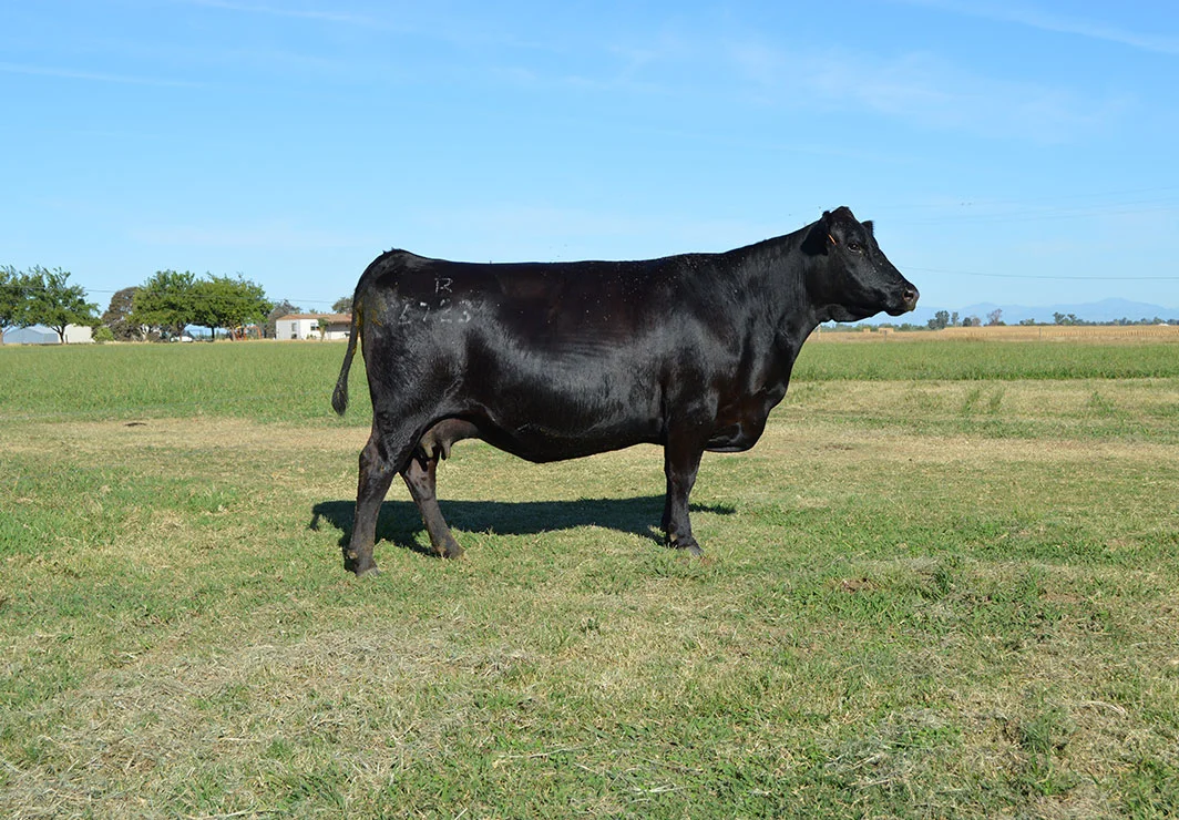 Z723-1064.jpg