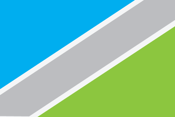 congress park flags of denver congress park flags of denver