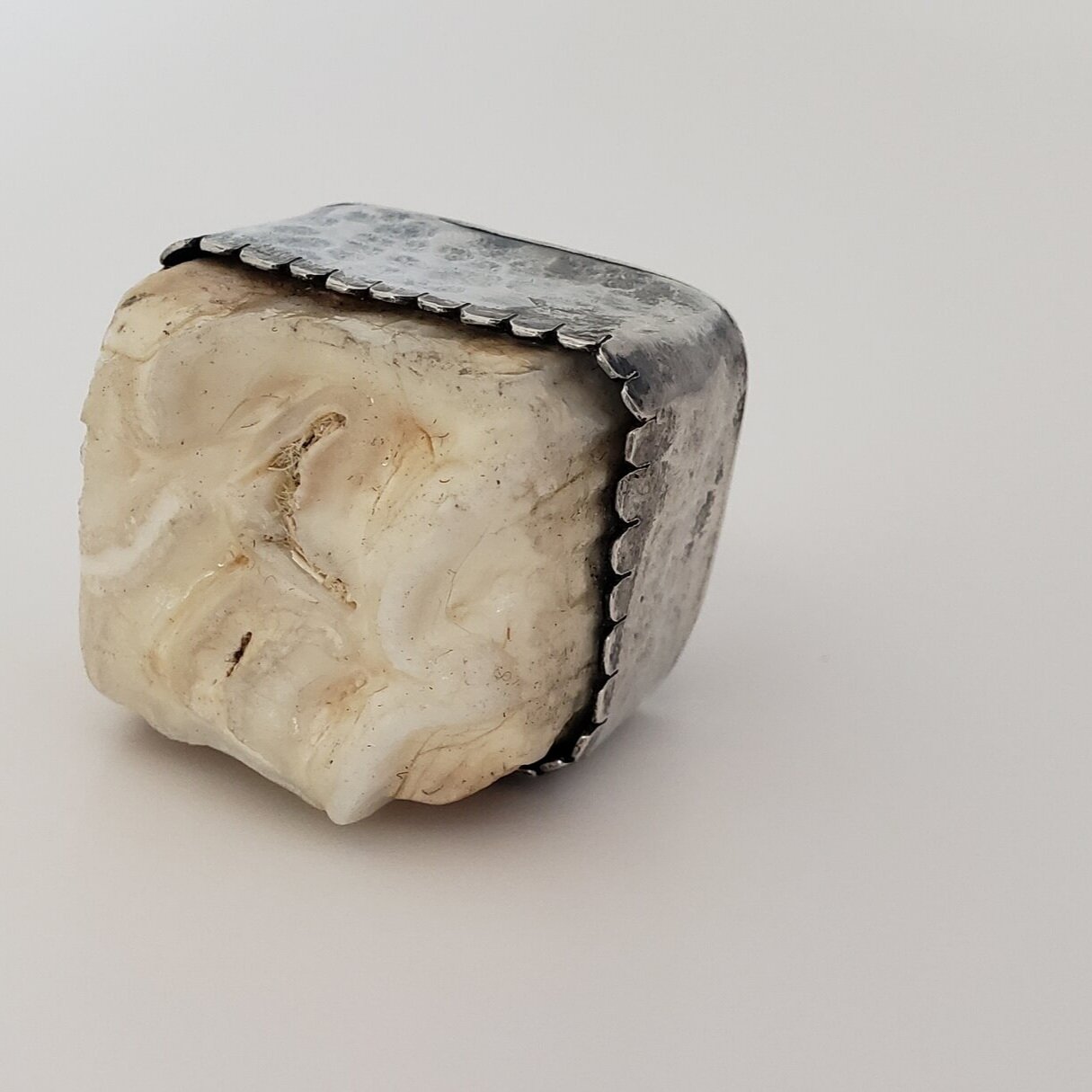 Allison’s beloved horse passed away and she wanted a memorial ring, this is a horse tooth.