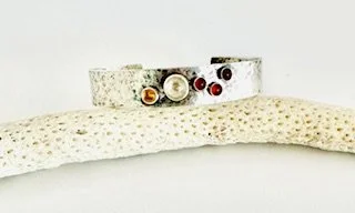 image1 - 2025-03-05T172444.294.jpeg