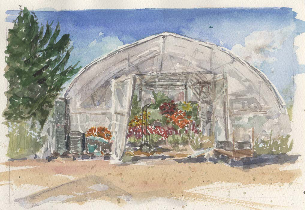 greenhouse scan.png